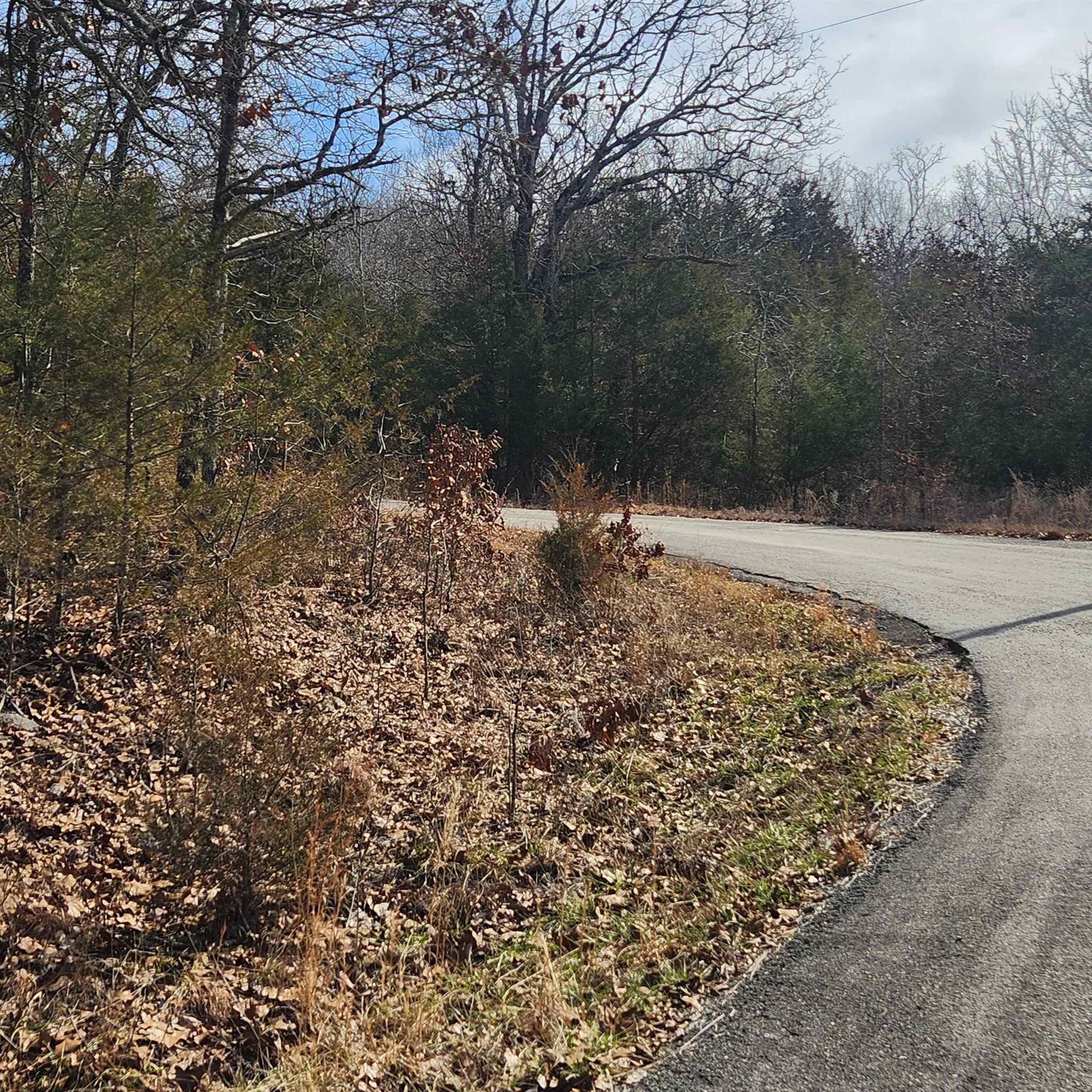 L10 B02  Awi  Cherokee Village, AR