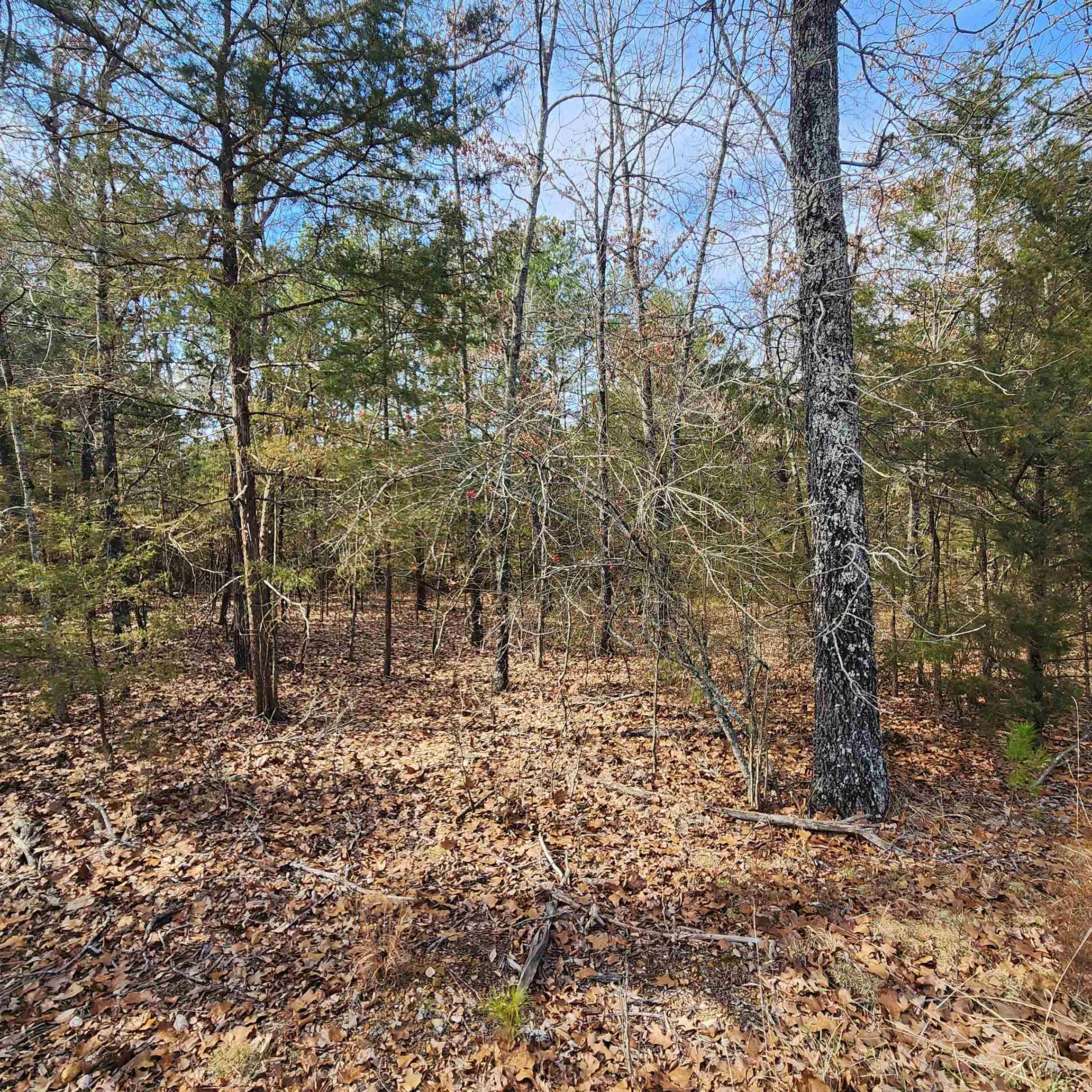 L10 B02  Awi  Cherokee Village, AR