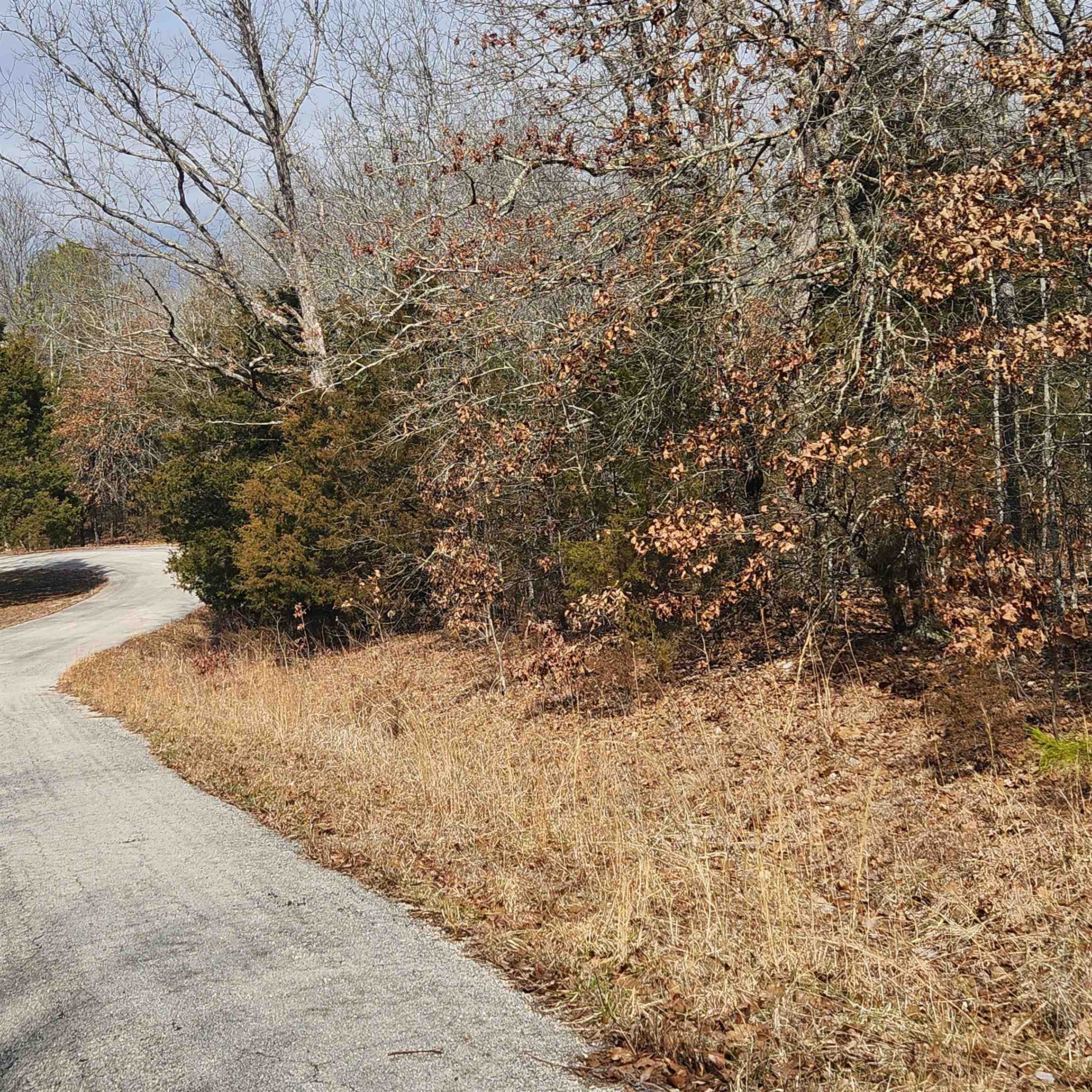 L10 B02  Awi  Cherokee Village, AR