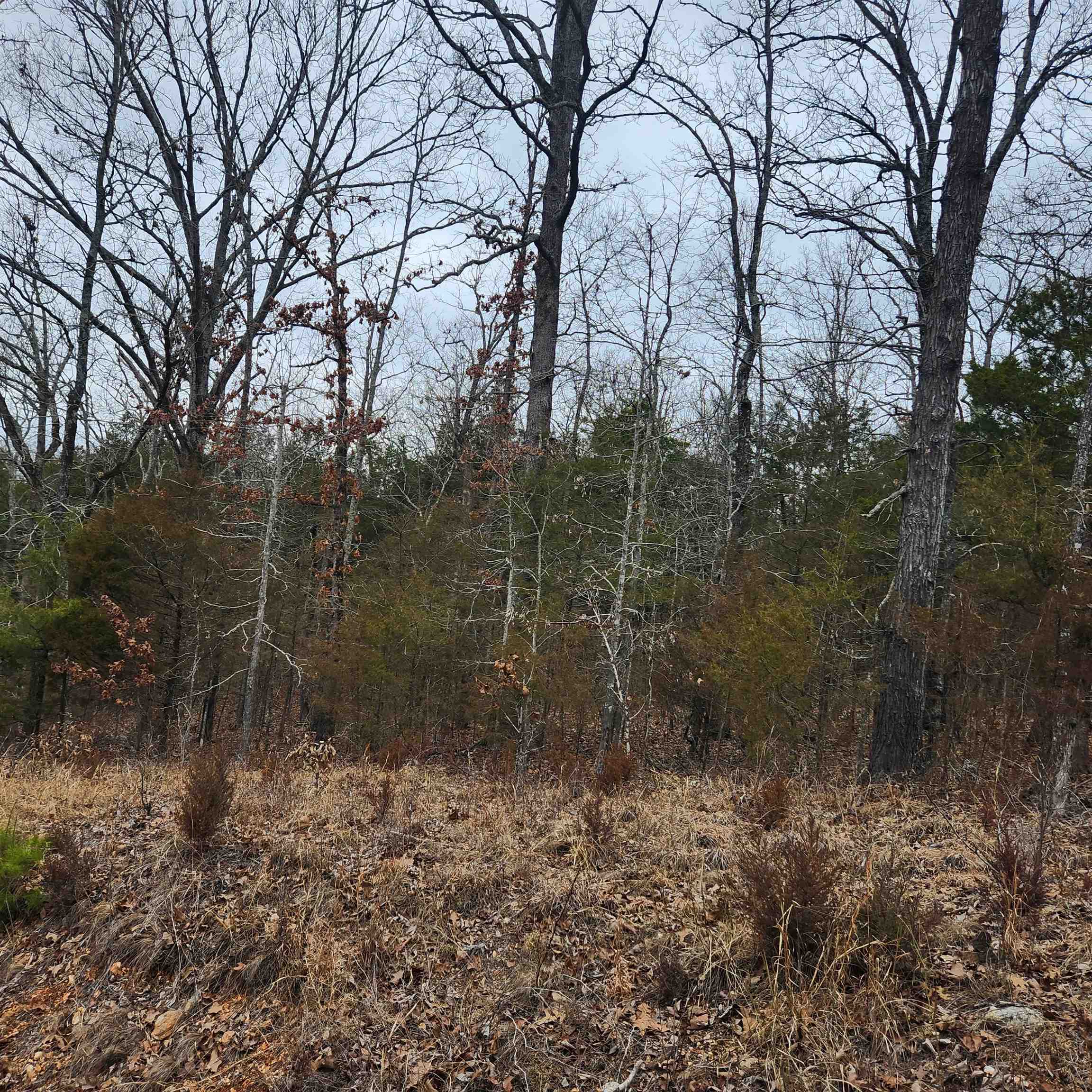 L10, B01  Hiawatha  Cherokee Village, AR