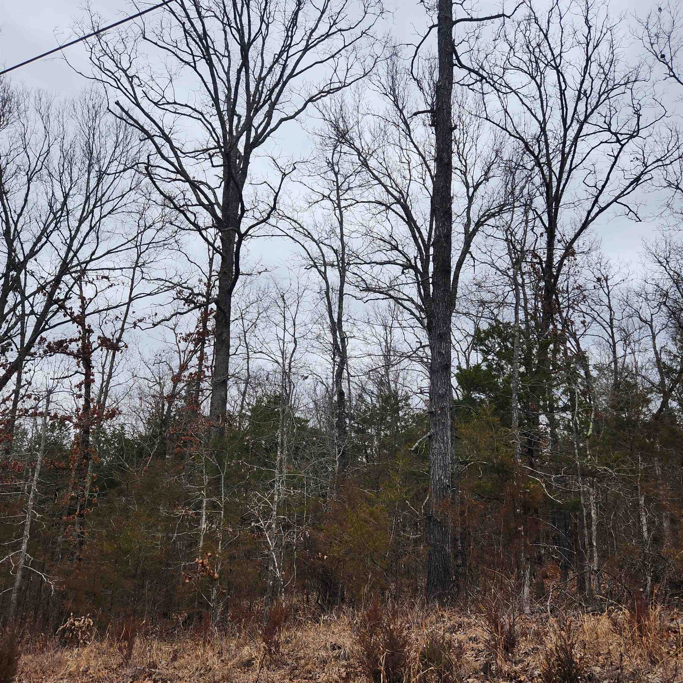 L10, B01  Hiawatha  Cherokee Village, AR