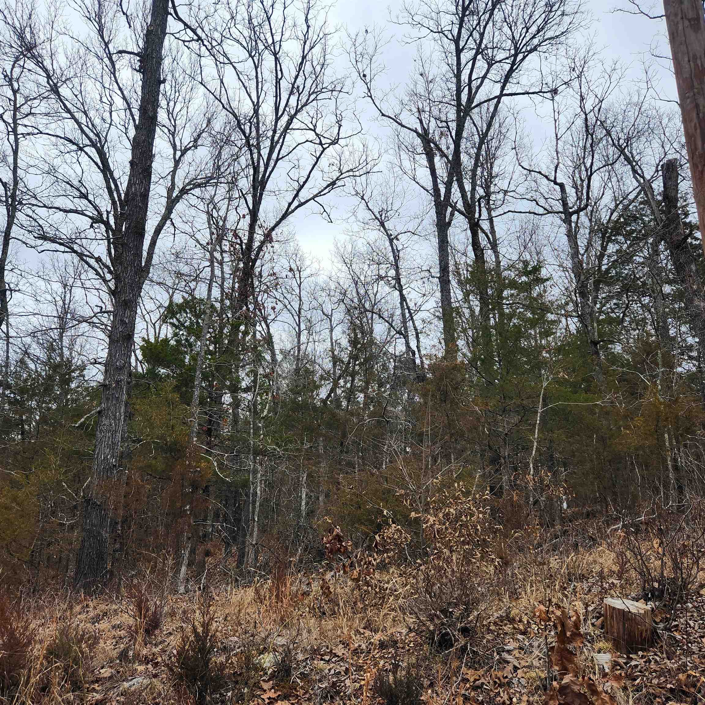 L10, B01  Hiawatha  Cherokee Village, AR