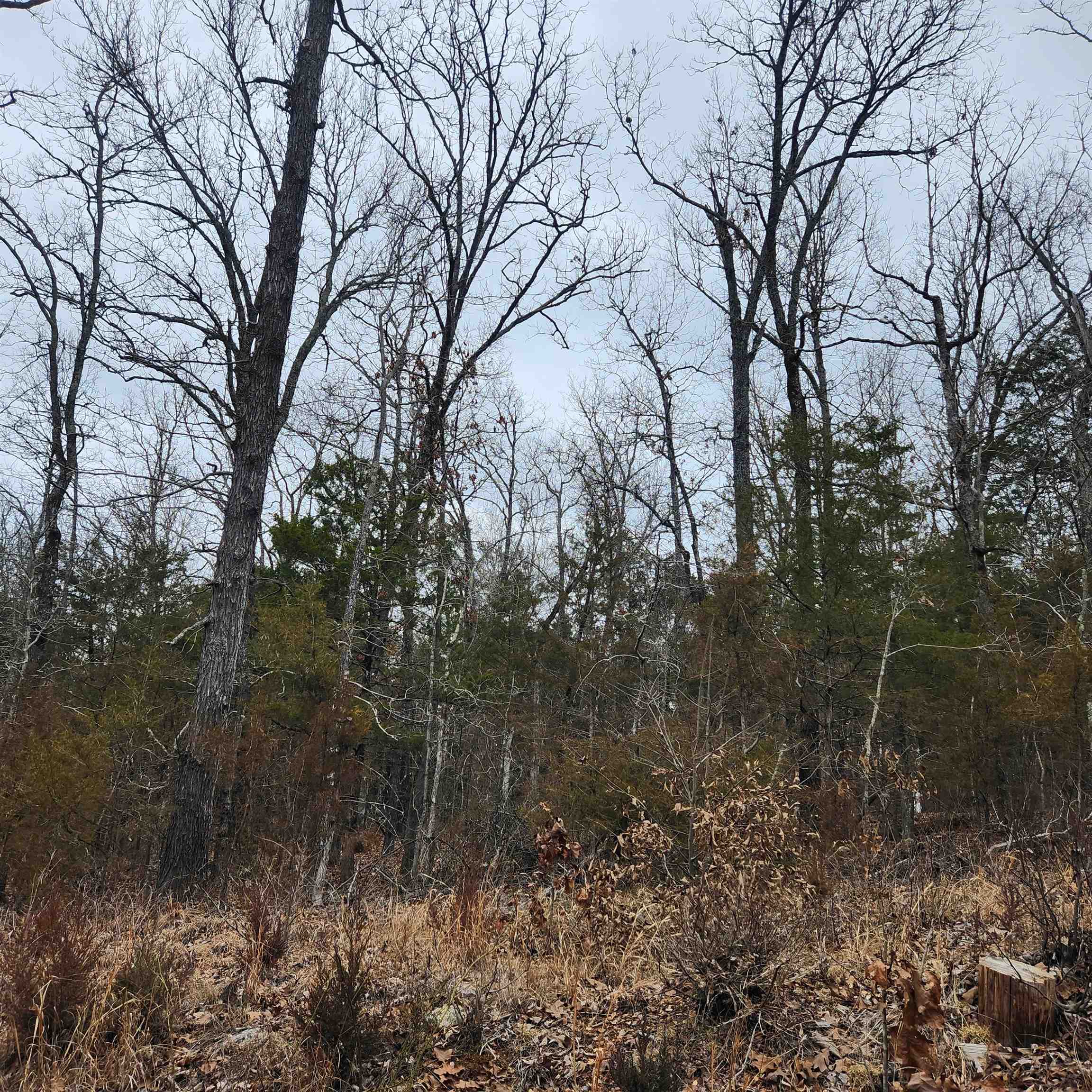 L10, B01  Hiawatha  Cherokee Village, AR