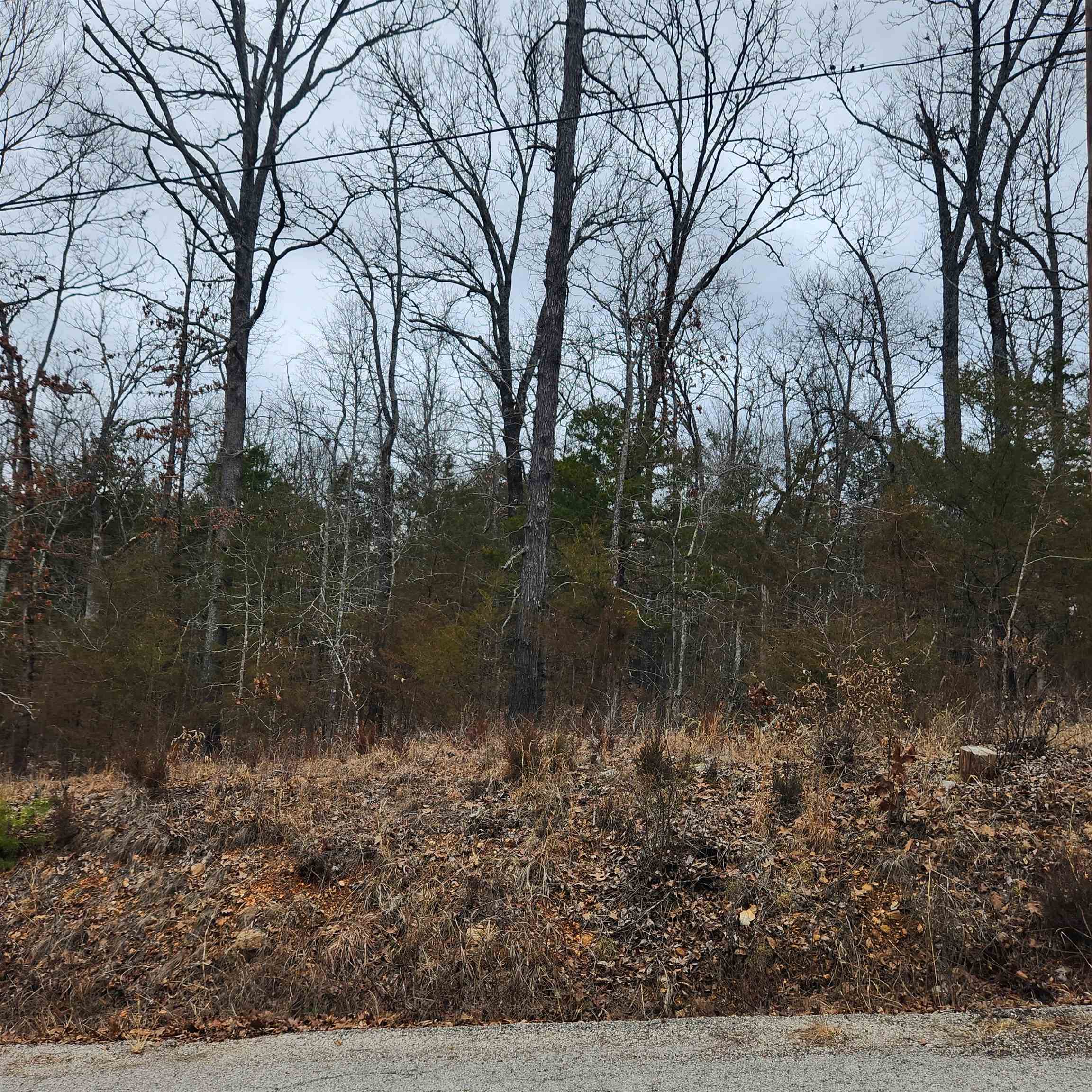 L10, B01  Hiawatha  Cherokee Village, AR