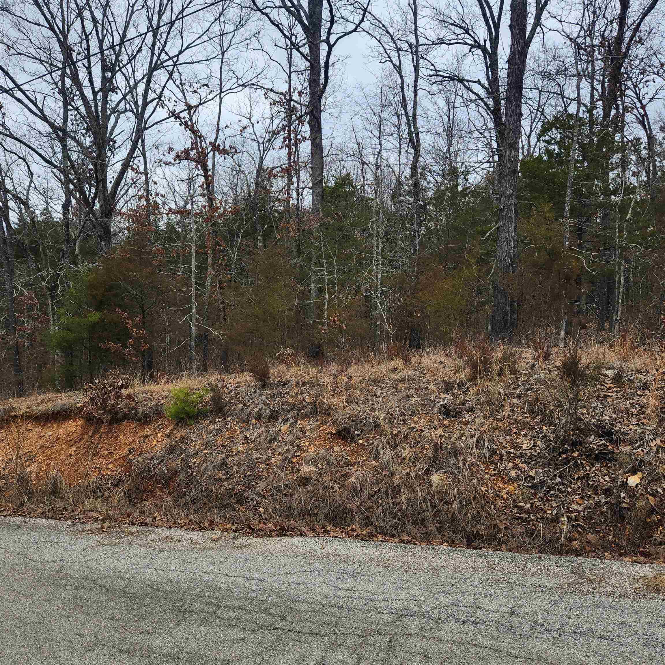 L10, B01  Hiawatha  Cherokee Village, AR