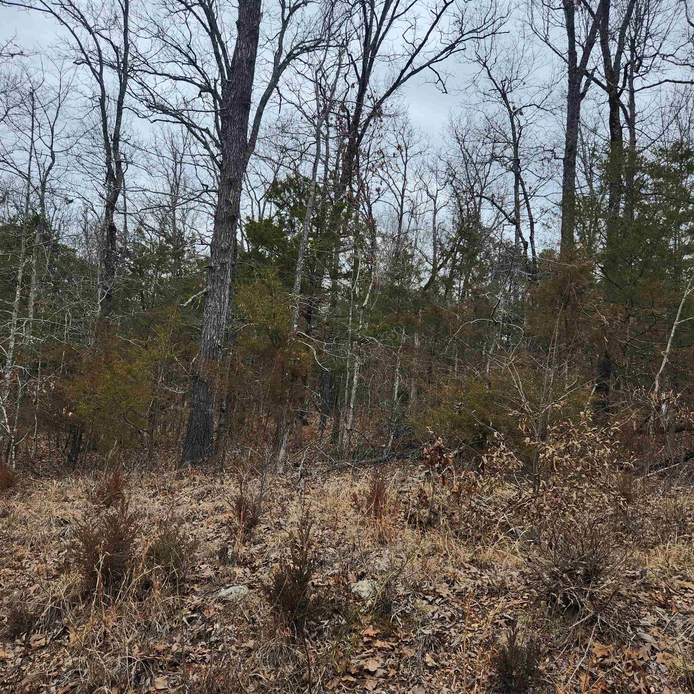 L10, B01  Hiawatha  Cherokee Village, AR