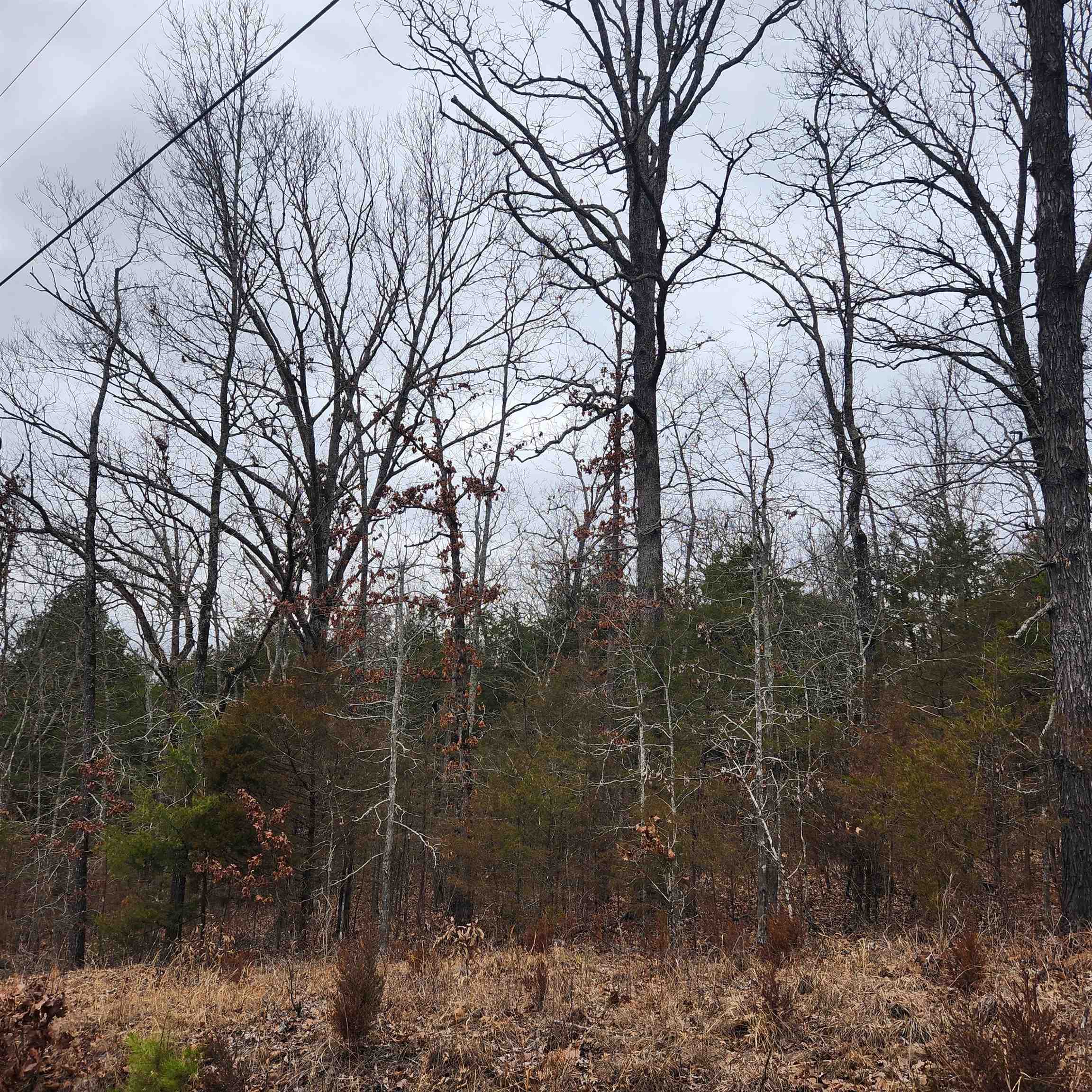 L10, B01  Hiawatha  Cherokee Village, AR