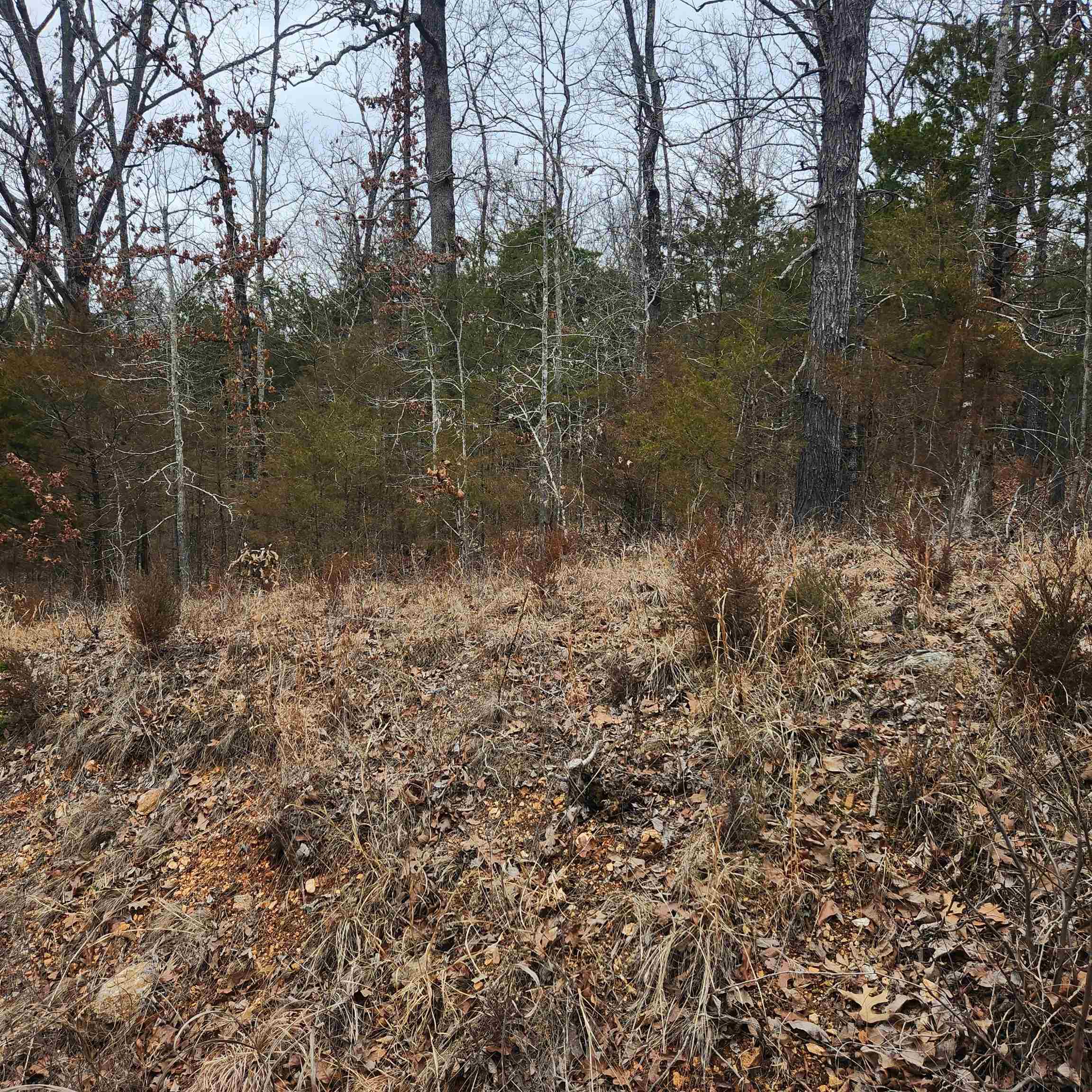 L10, B01  Hiawatha  Cherokee Village, AR