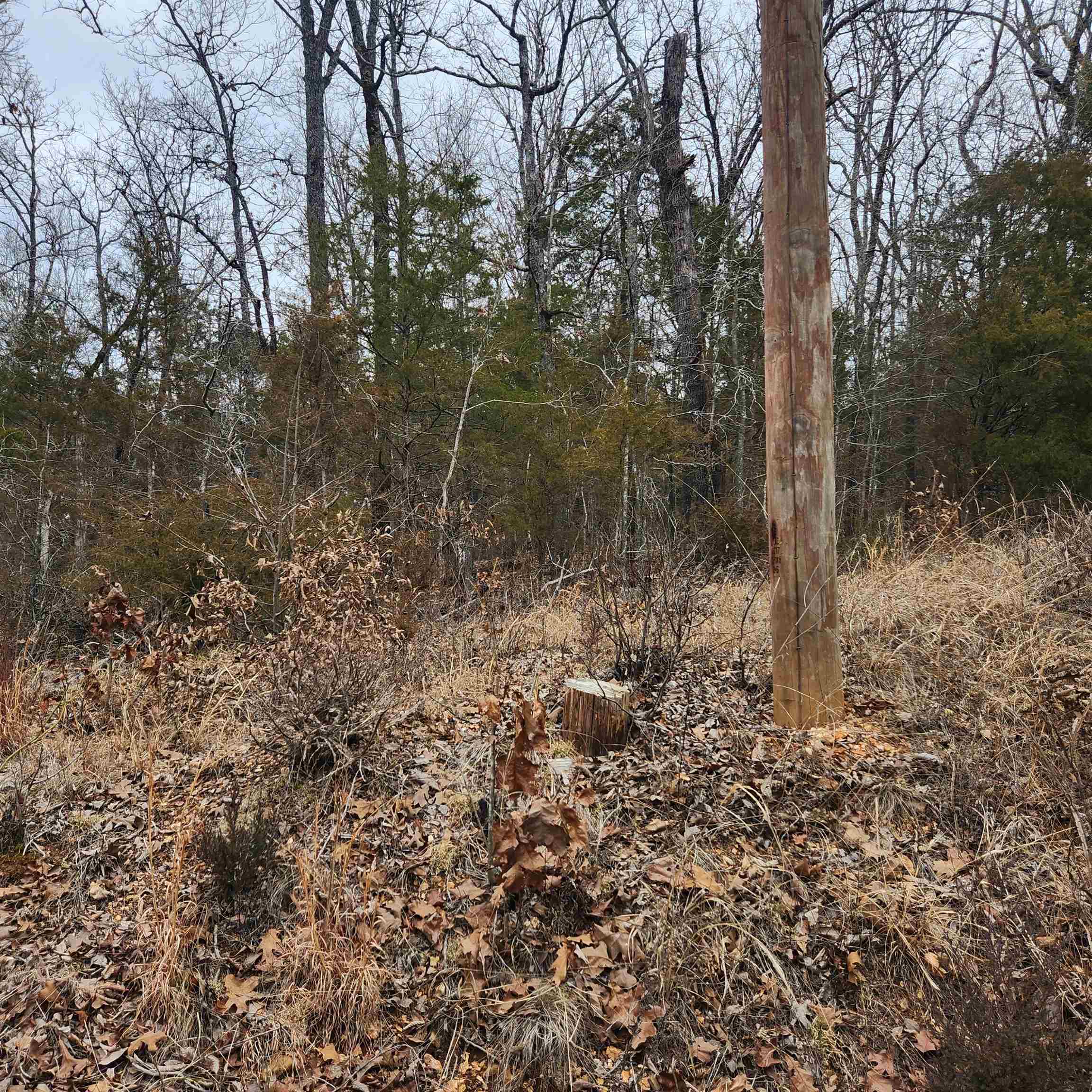 L10, B01  Hiawatha  Cherokee Village, AR