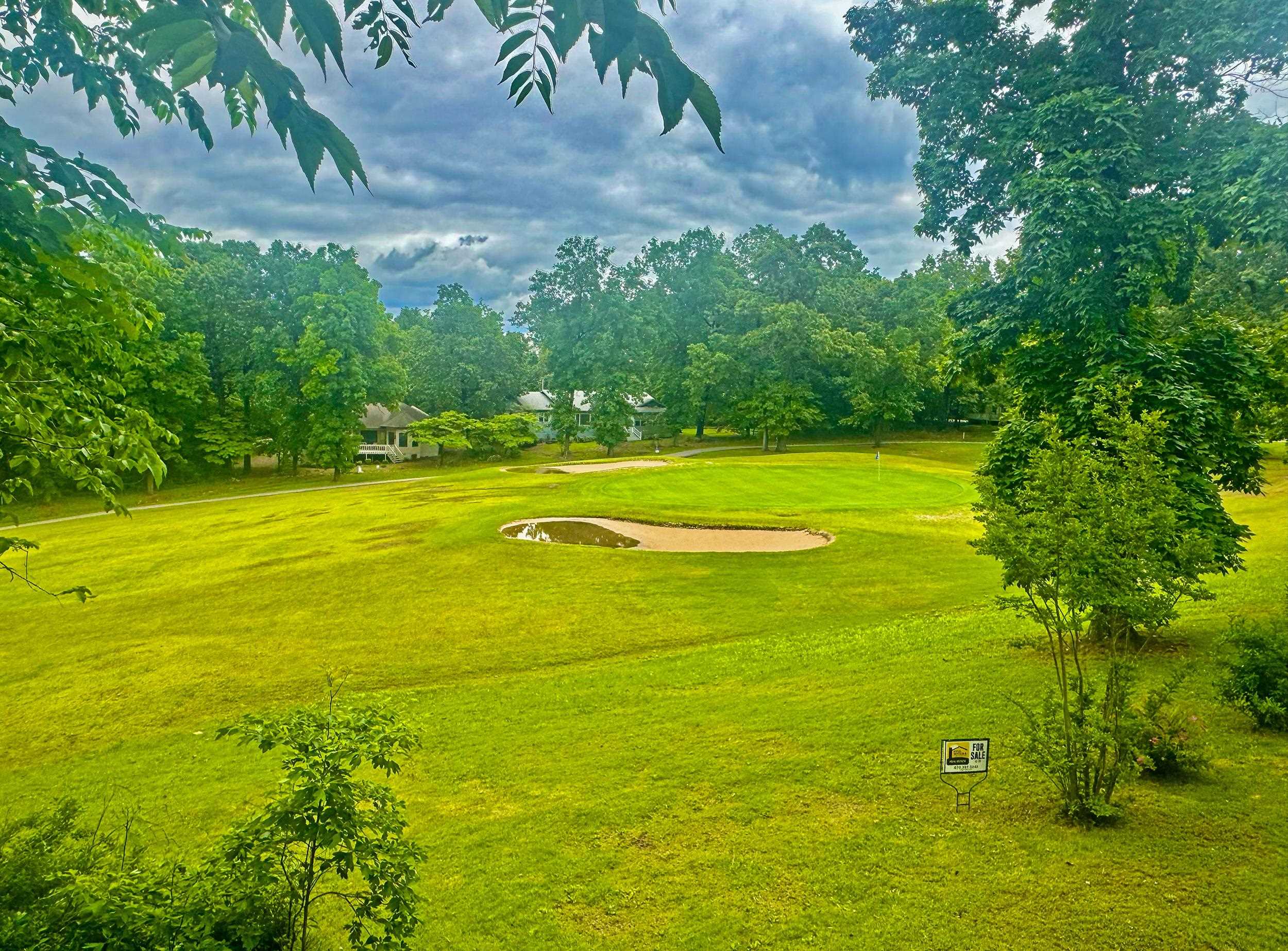 41 Conda  Cherokee Village, AR