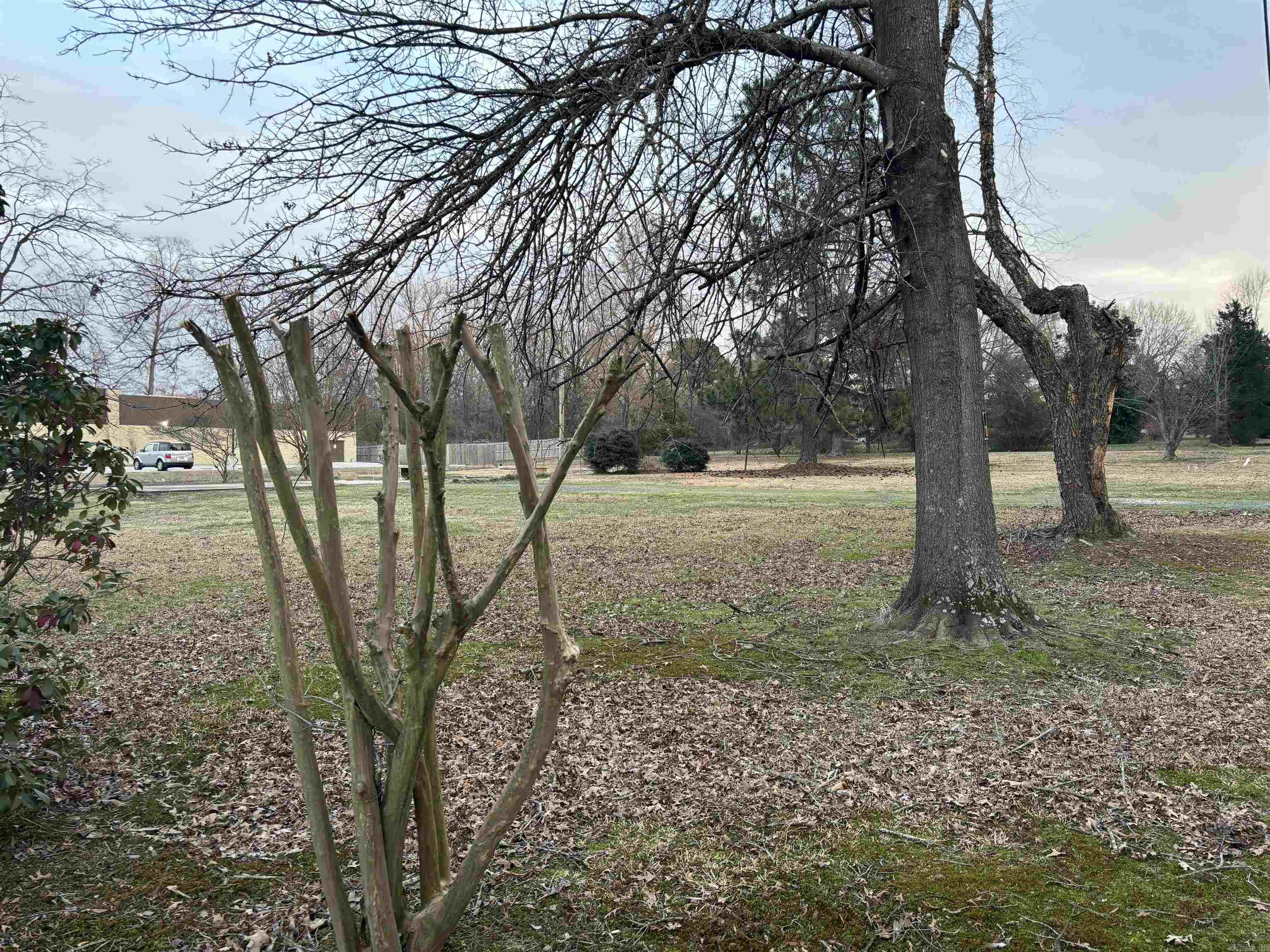 101  Bill Foster  Cabot, AR