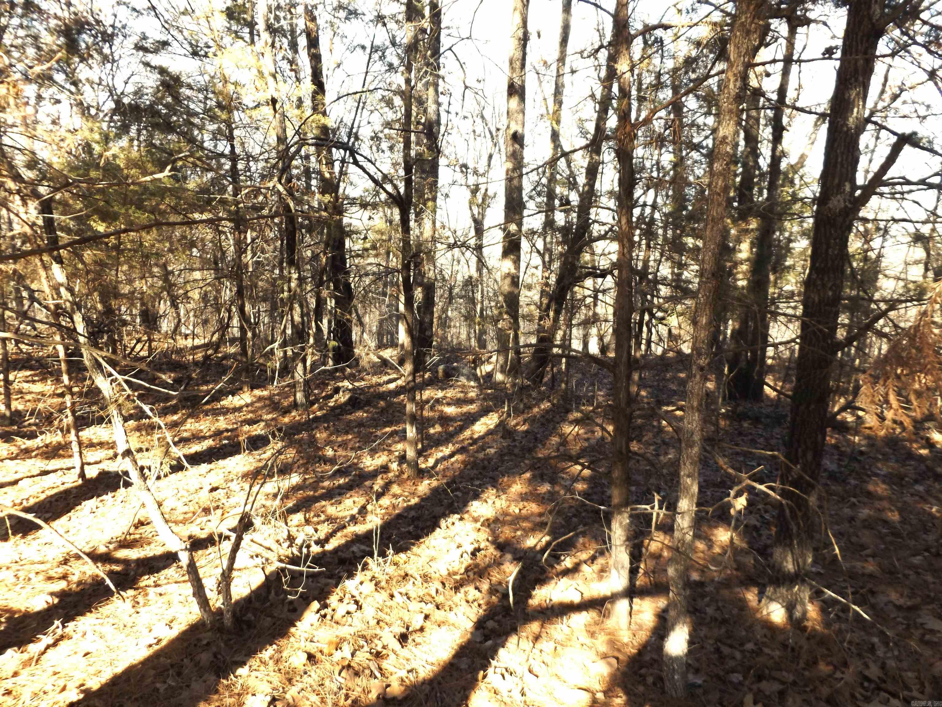 Lot 2  Iroquois  Cherokee Village, AR