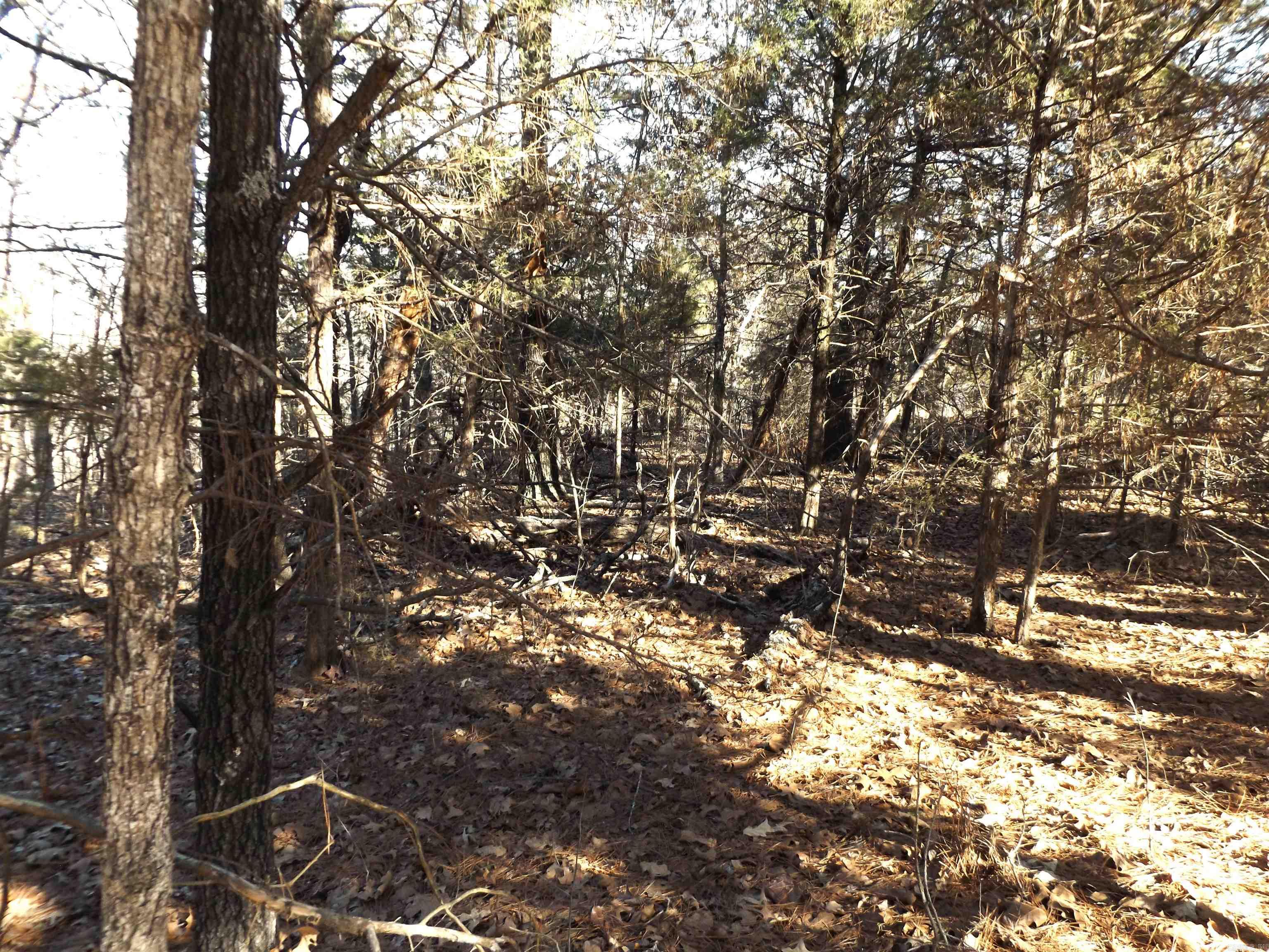 Lot 2  Iroquois  Cherokee Village, AR
