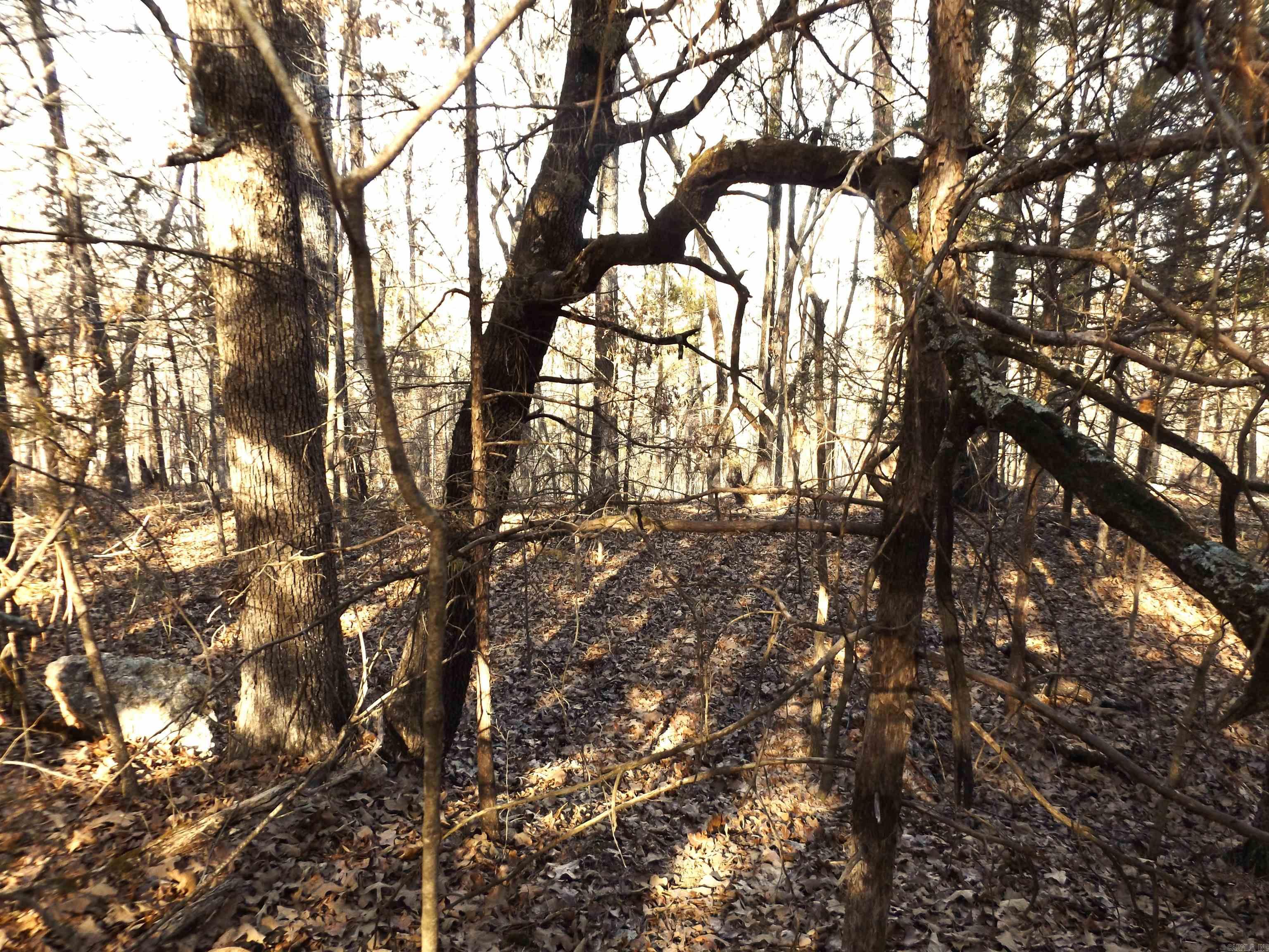 Lot 2  Iroquois  Cherokee Village, AR