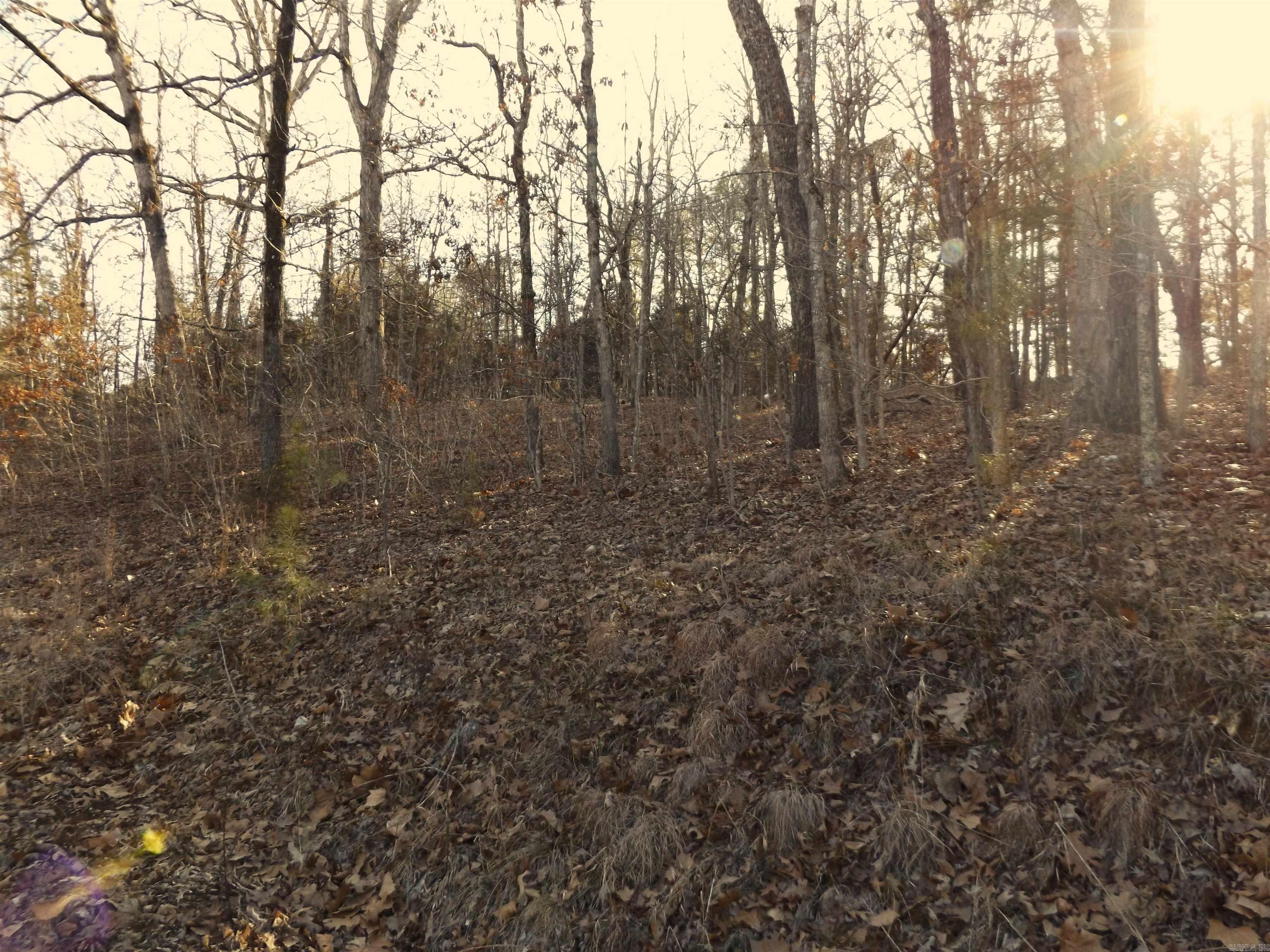 Lot 2  Iroquois  Cherokee Village, AR