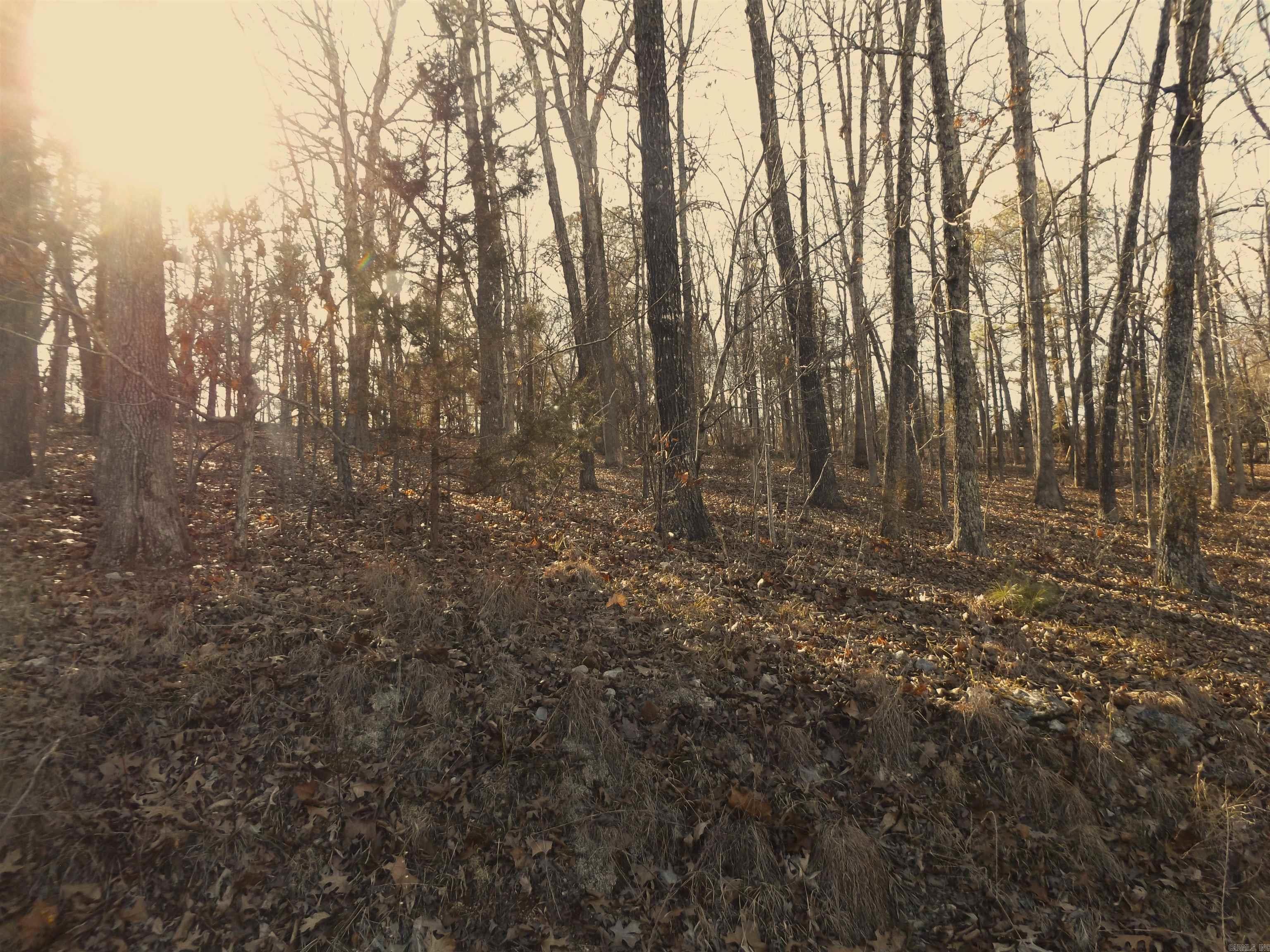 Lot 2  Iroquois  Cherokee Village, AR