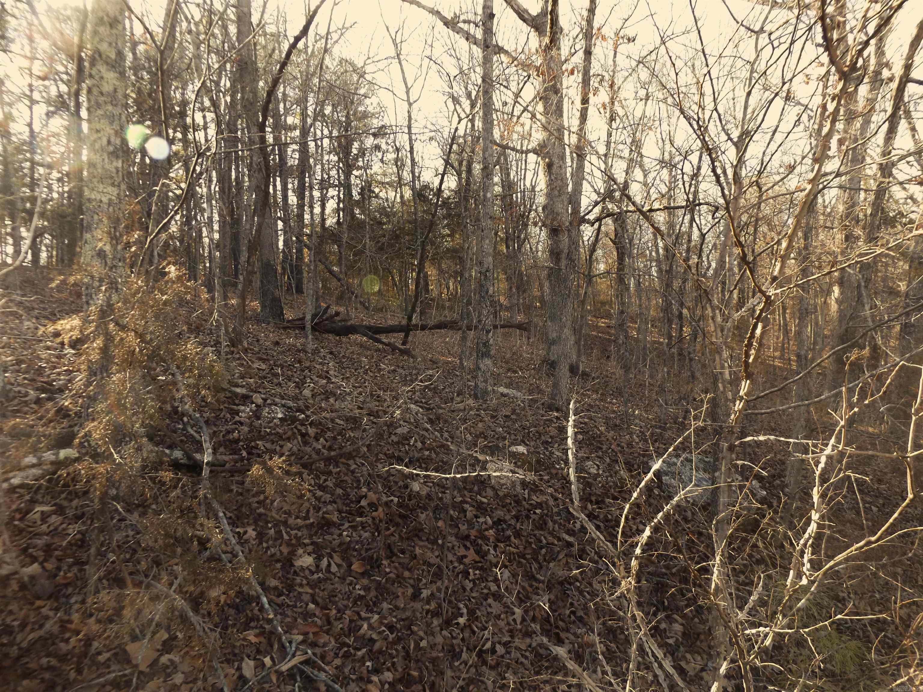 Lot 2  Iroquois  Cherokee Village, AR