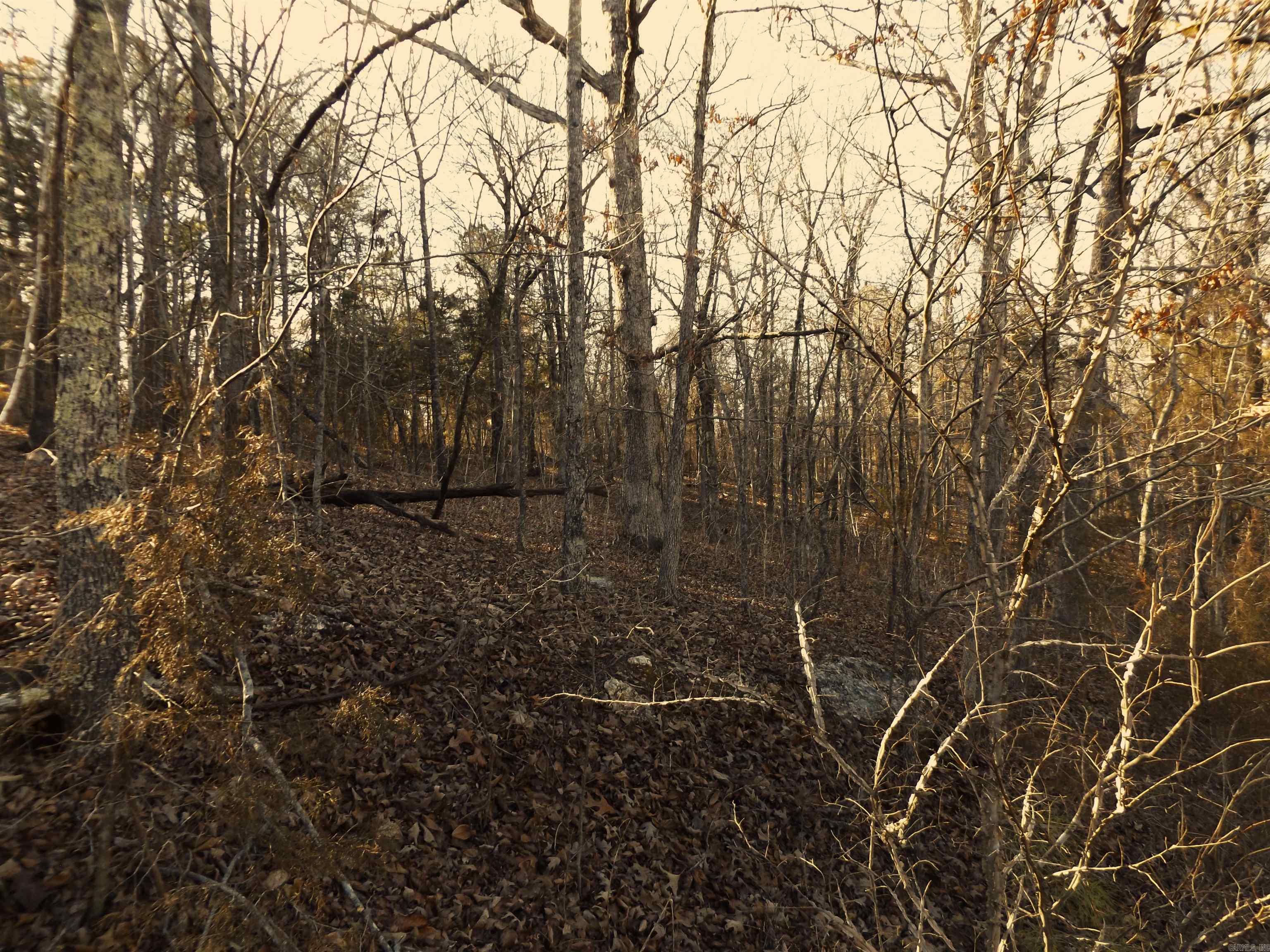 Lot 2  Iroquois  Cherokee Village, AR