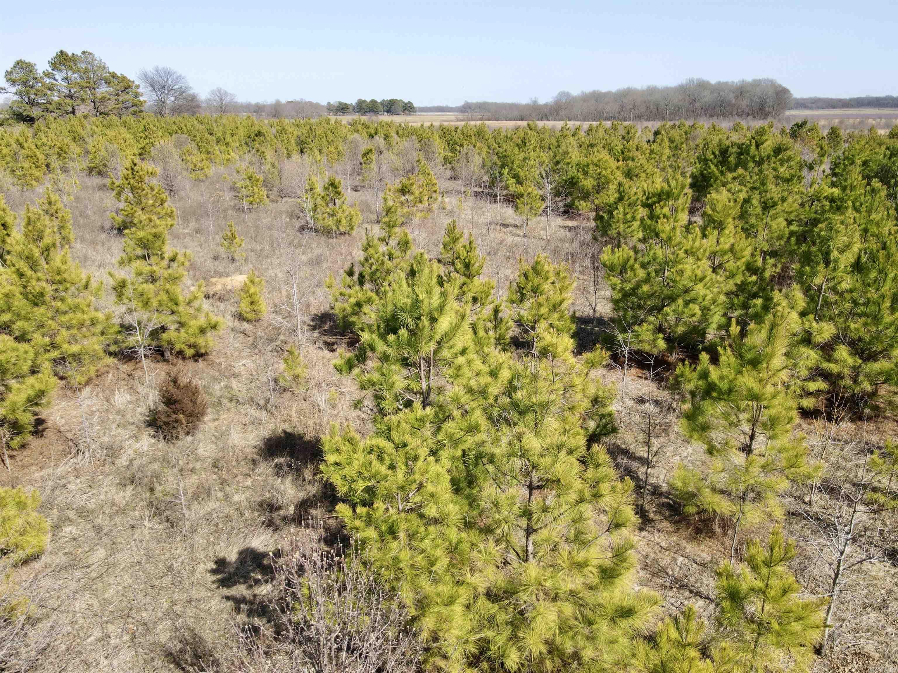 000  Woodruff CR 361  McCrory, AR