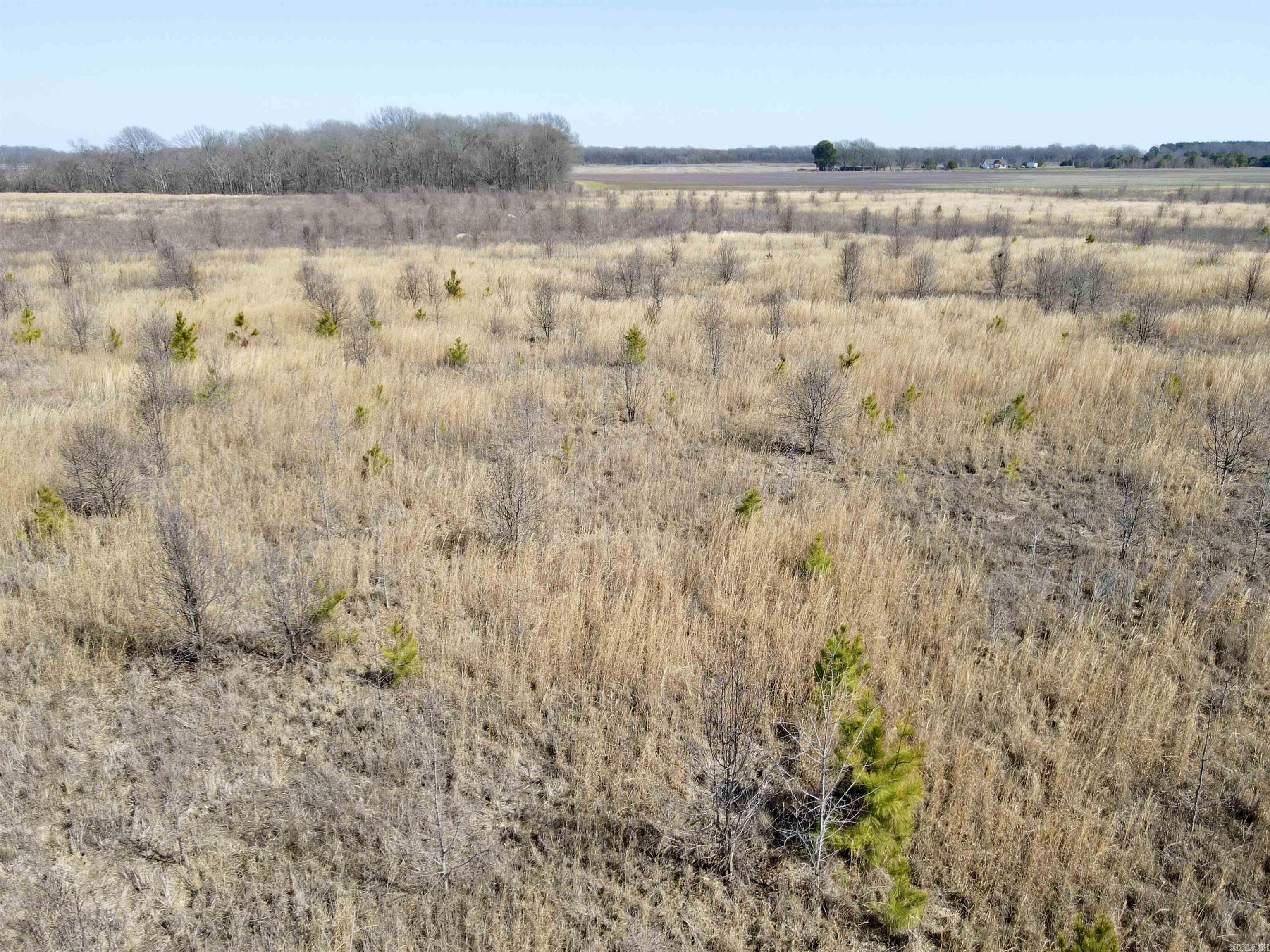 000  Woodruff CR 361  McCrory, AR