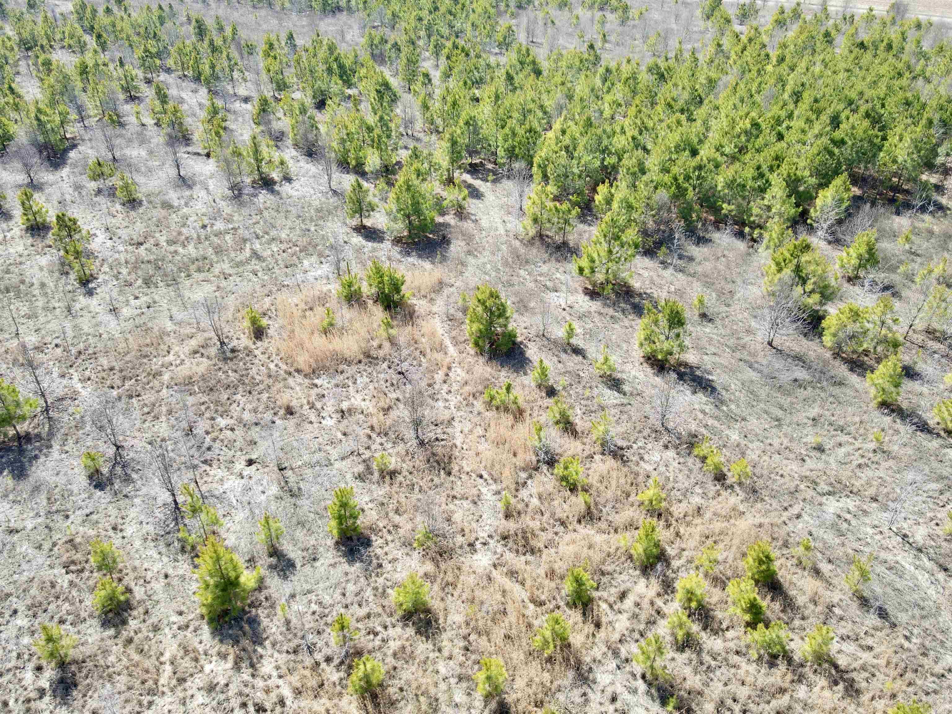000  Woodruff CR 361  McCrory, AR