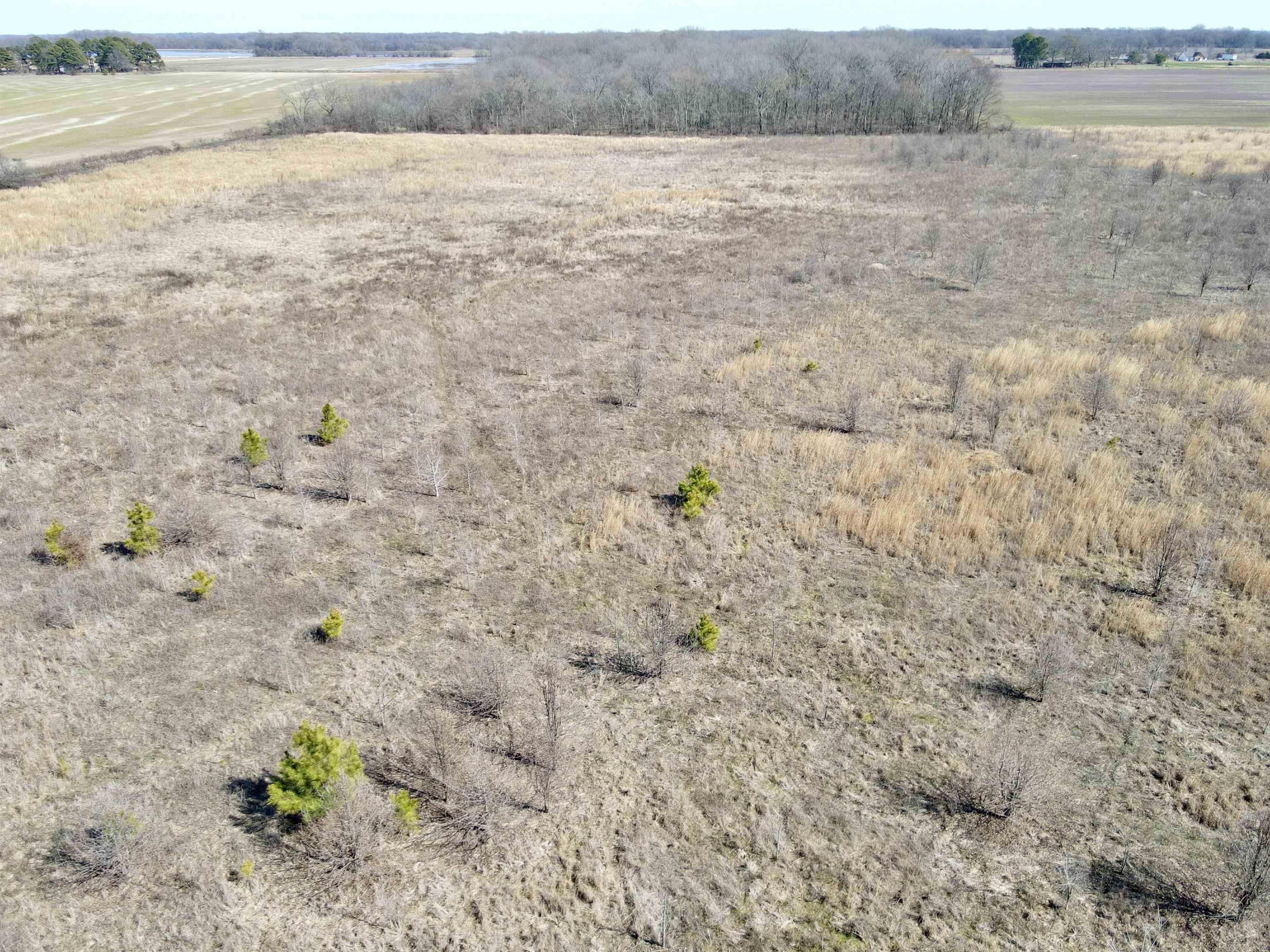 000  Woodruff CR 361  McCrory, AR