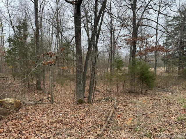 Lots 13&14  Shady Hills 2nd  Pocahontas, AR