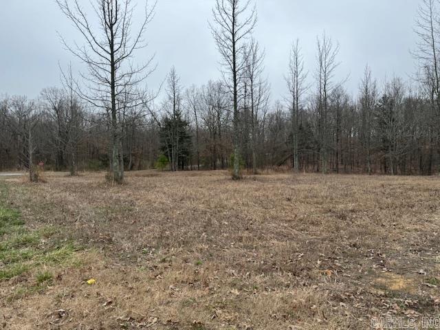 Lots 13&14  Shady Hills 2nd  Pocahontas, AR