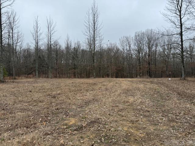 Lots 13&14  Shady Hills 2nd  Pocahontas, AR