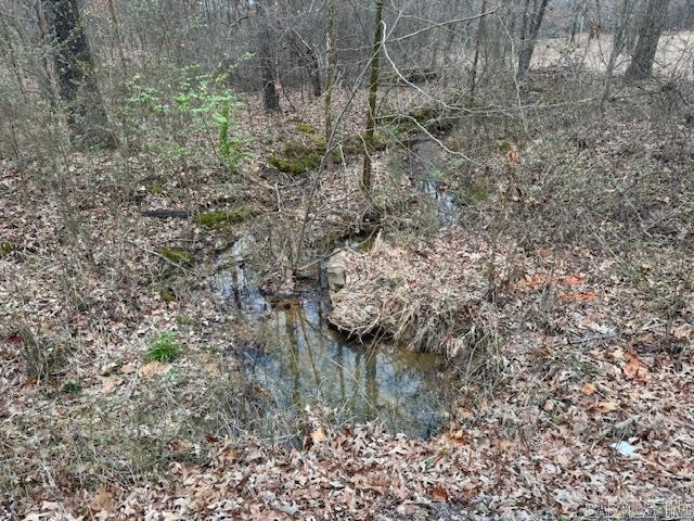Lots 13&14  Shady Hills 2nd  Pocahontas, AR