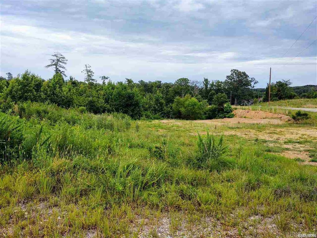 Lot 12  Snorting Buffalo  Hot Springs, AR