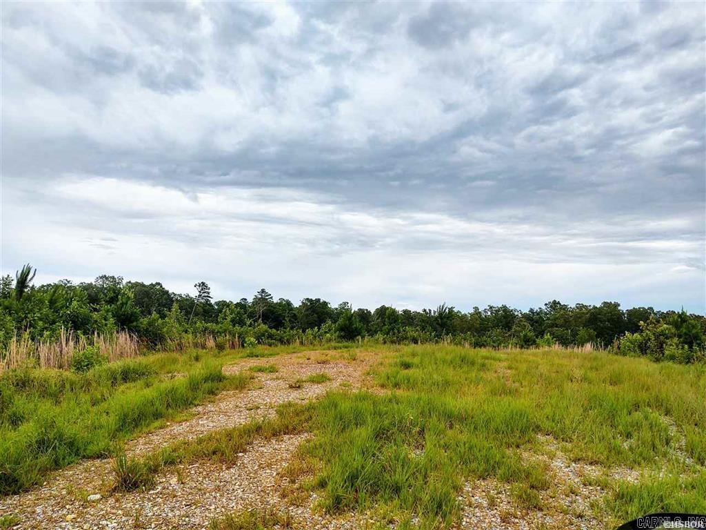 Lot 12  Snorting Buffalo  Hot Springs, AR