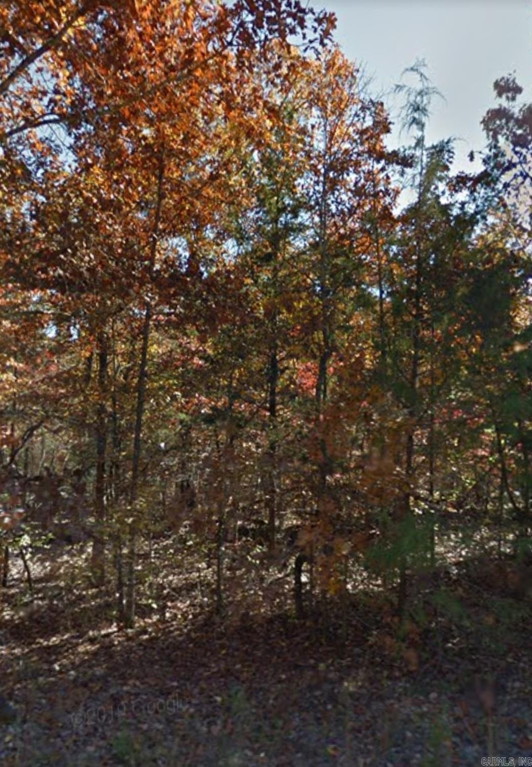 1216  Executive  Horseshoe Bend, AR