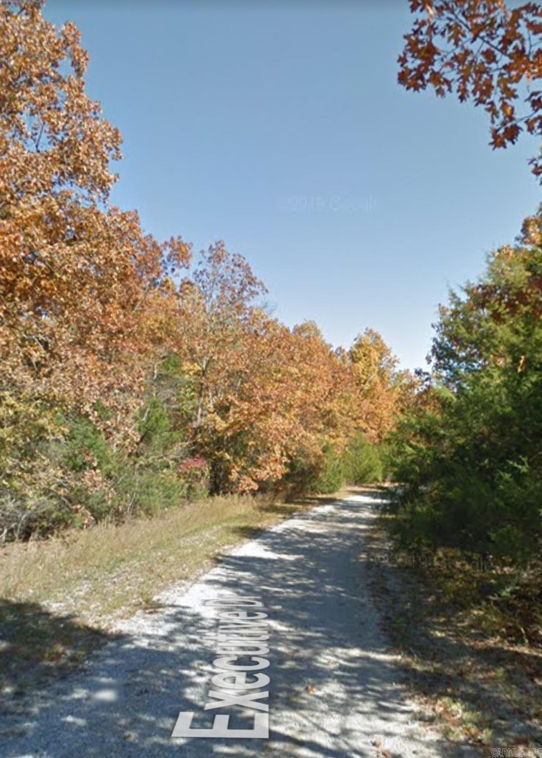 1216  Executive  Horseshoe Bend, AR