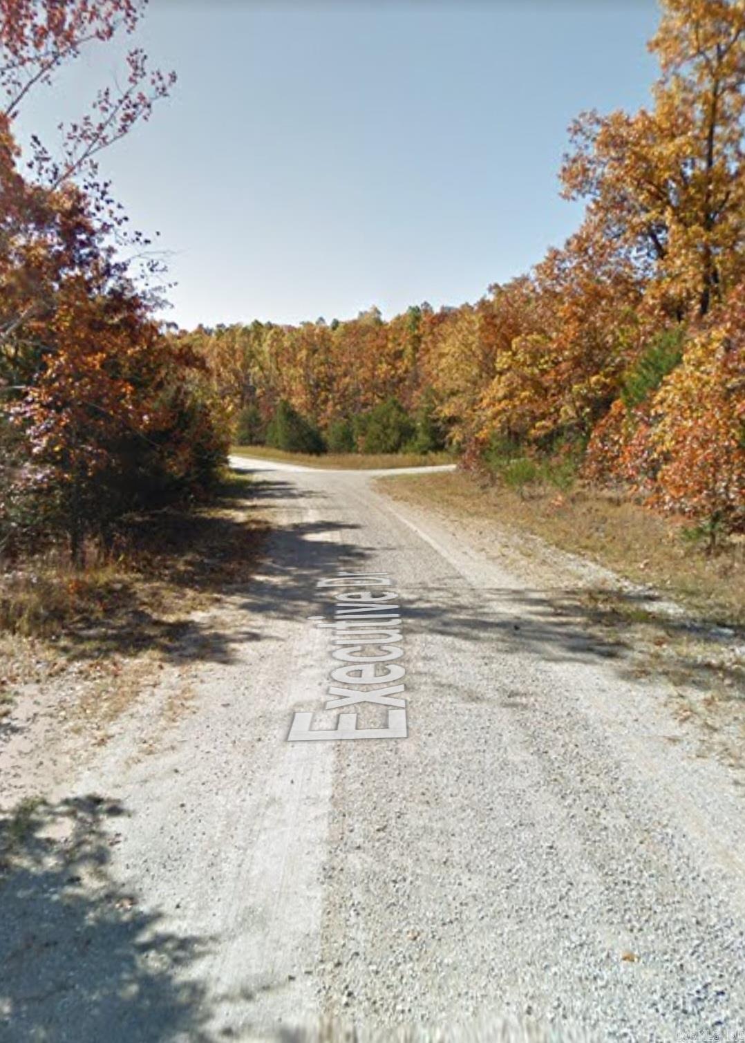 1216  Executive  Horseshoe Bend, AR