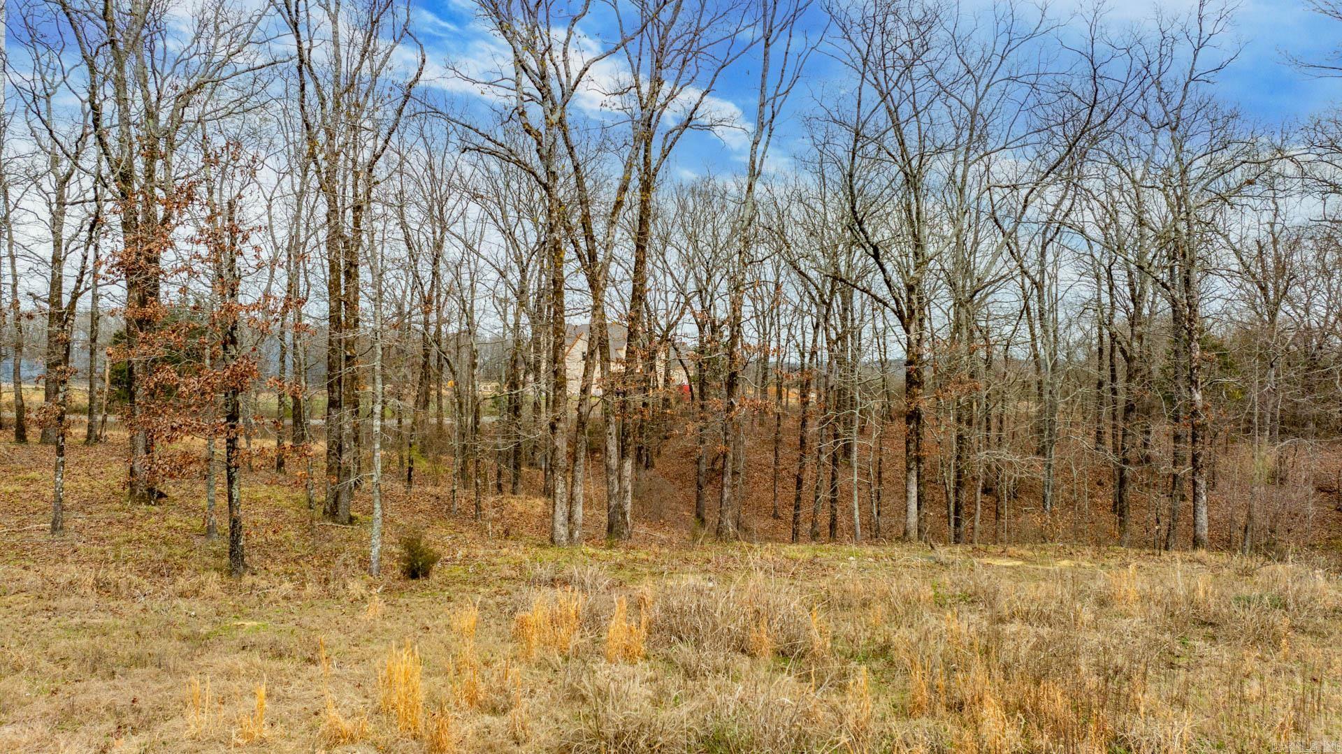 Lot 18  Valley Ranch Drive  Mayflower, AR