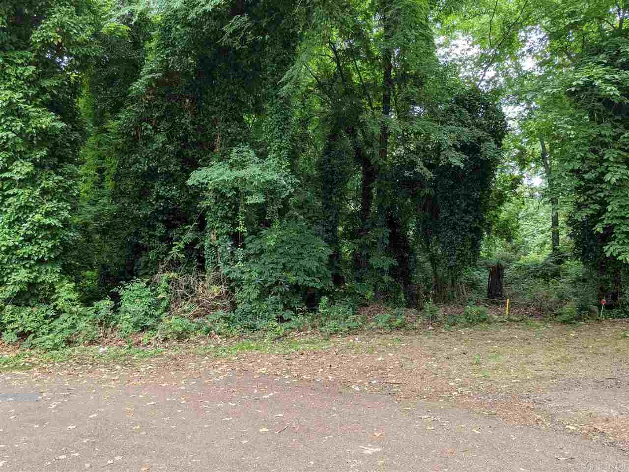 Lot 1  Lakeland Addition  Heber Springs, AR