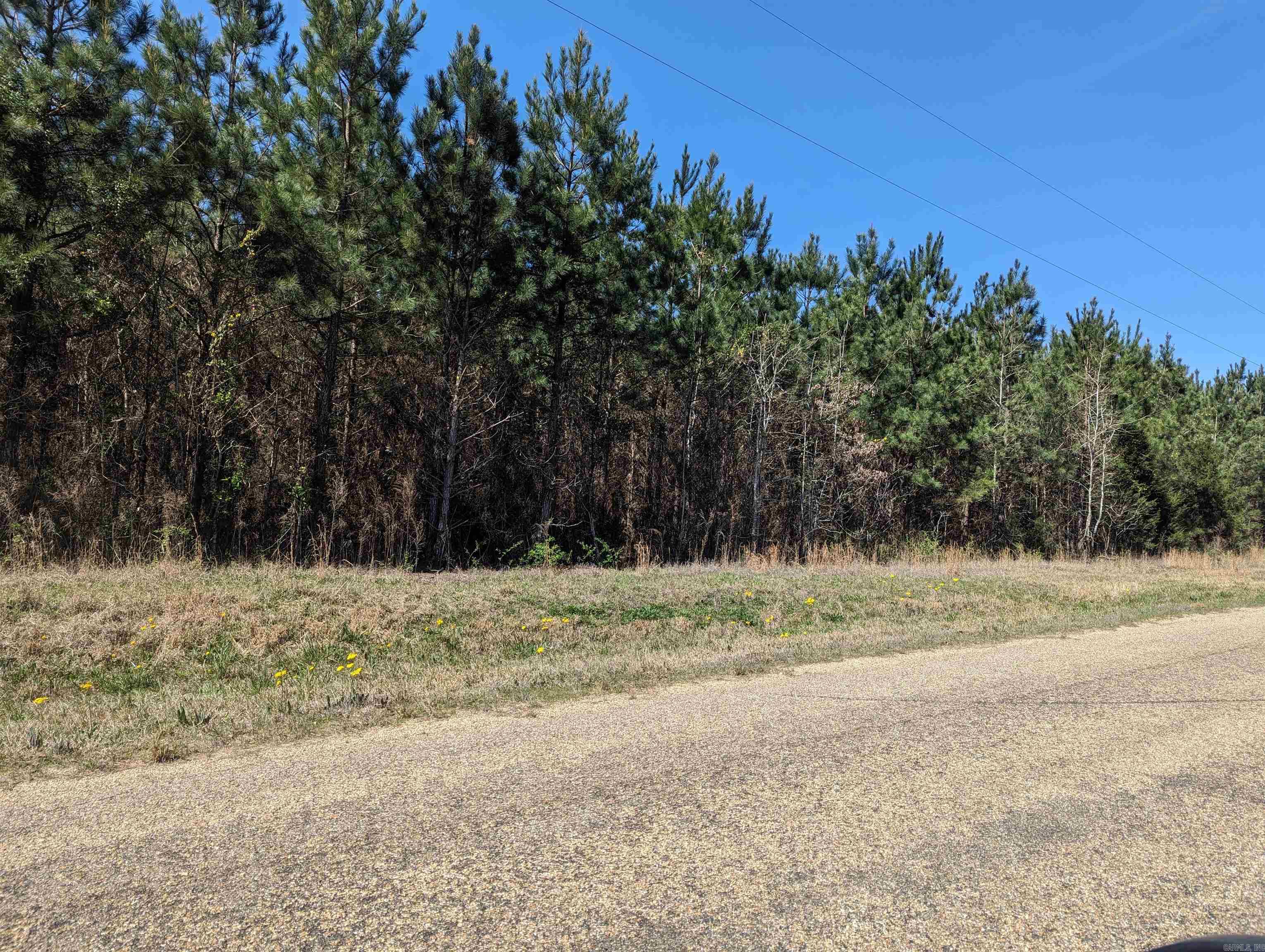 6.51 acres  Ouachita 5  Stephens, AR
