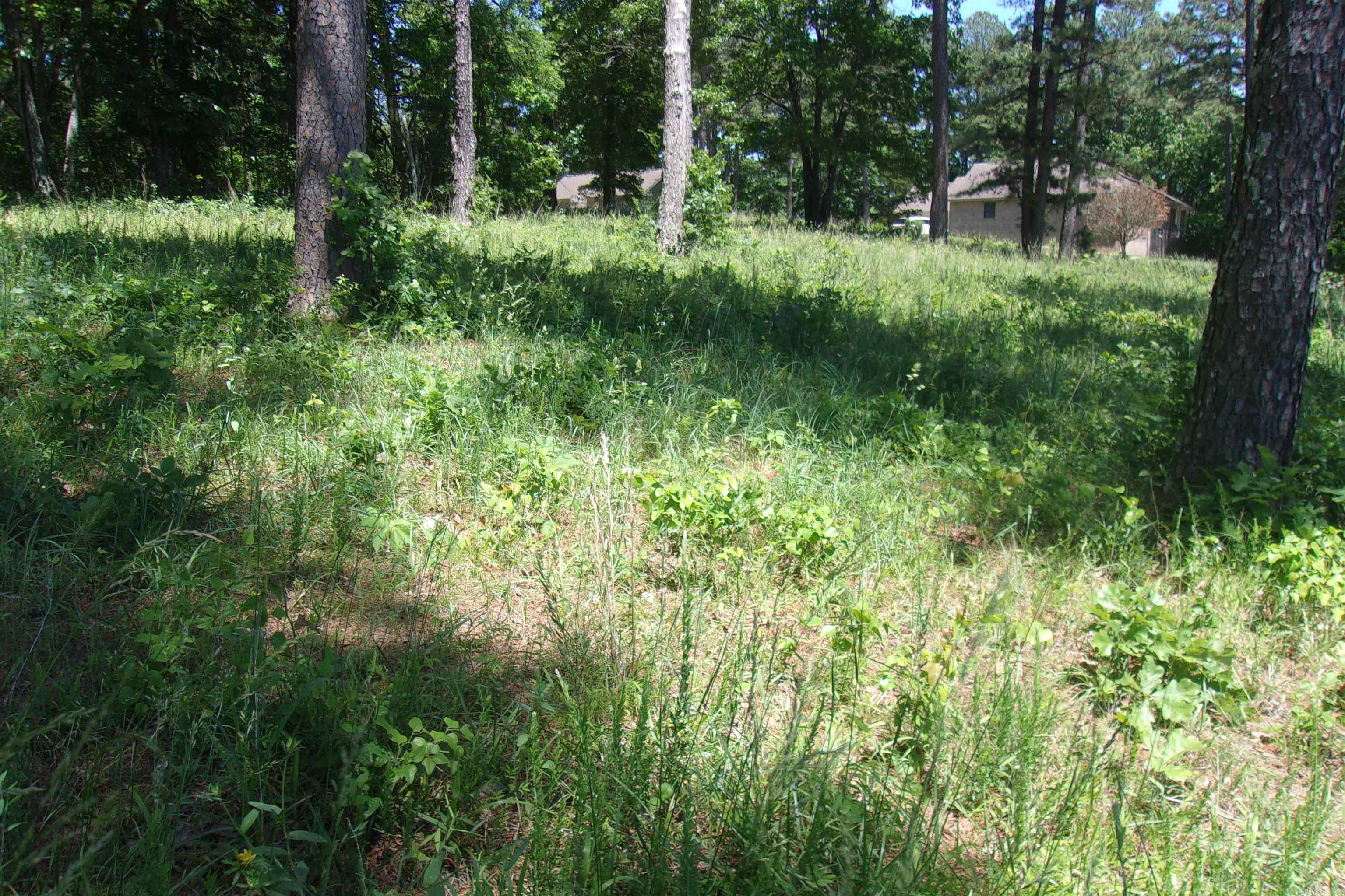 Lot 9 White Bluffs Court  Mountain Home, AR