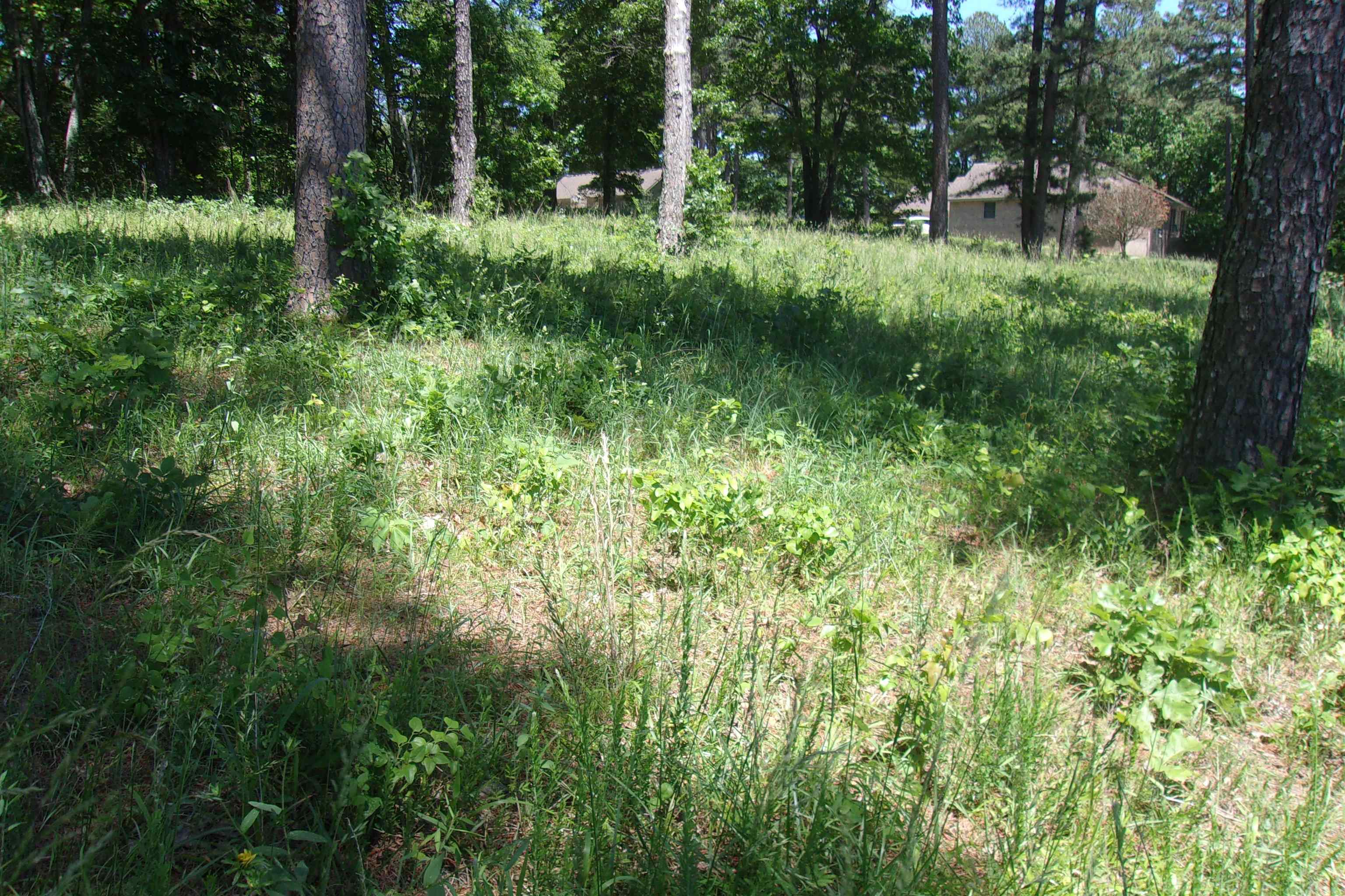 Lot 9  White Bluffs Court  Mountain Home, AR
