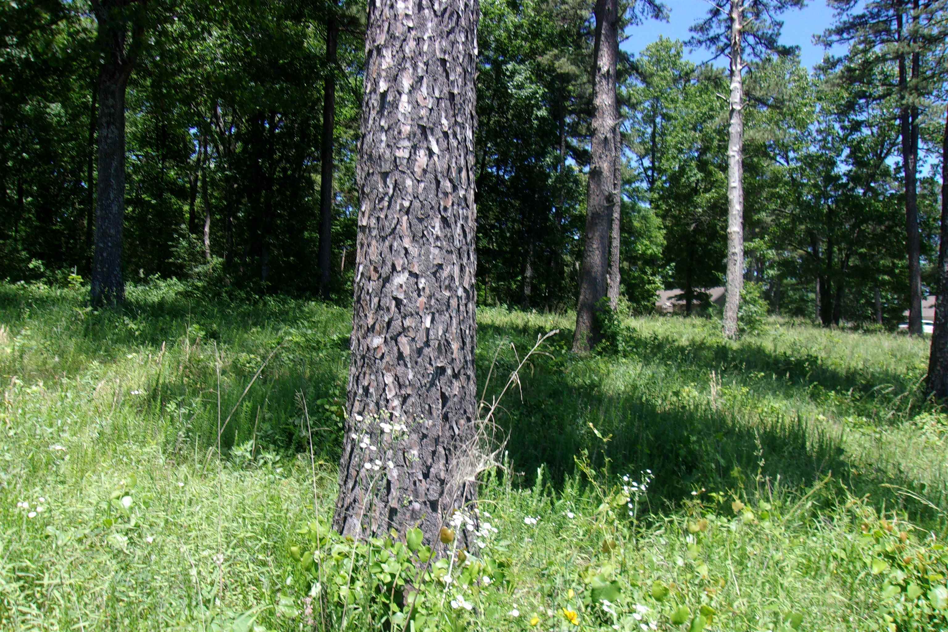 Lot 9  White Bluffs Court  Mountain Home, AR