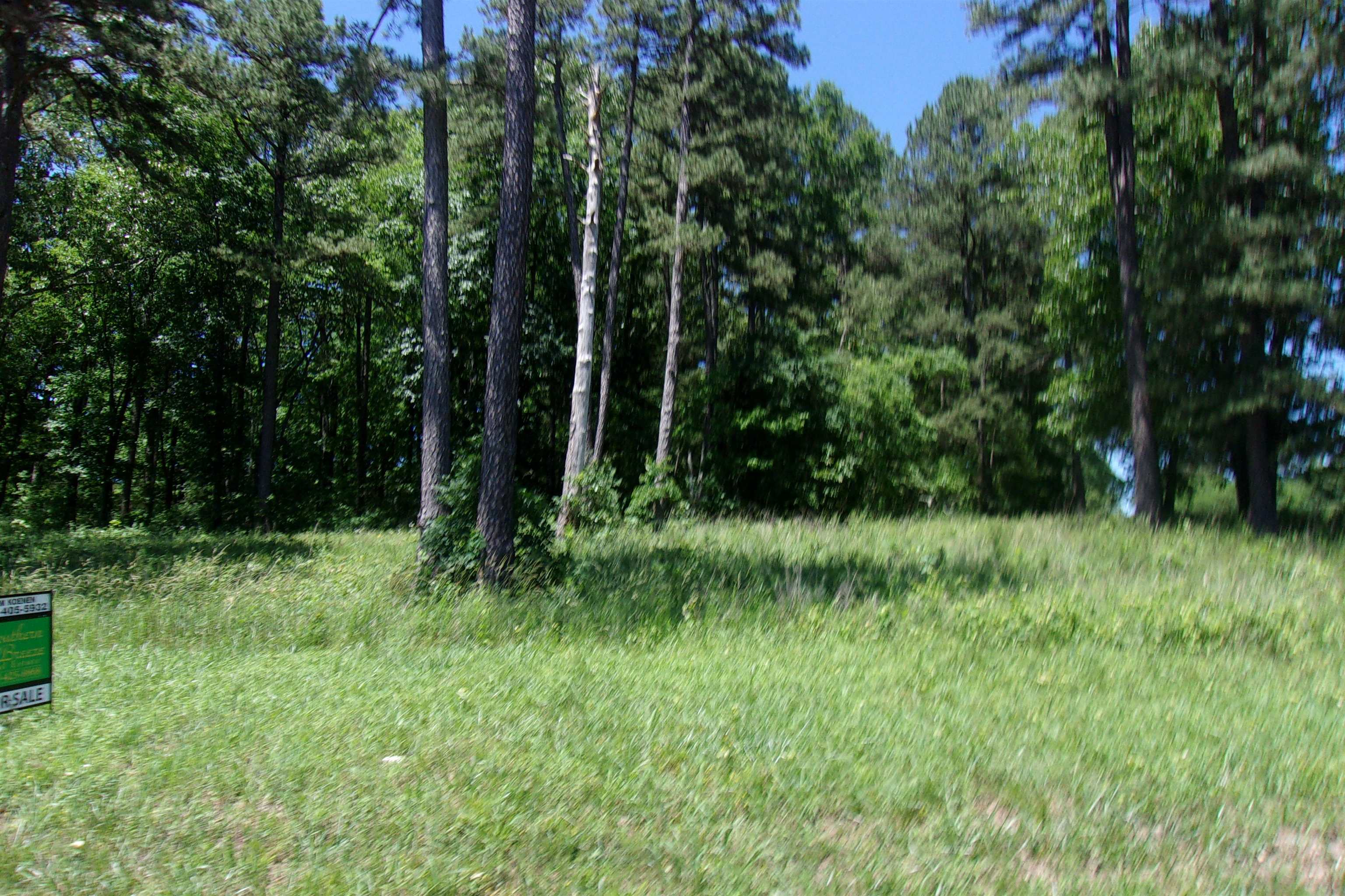 Lot 9  White Bluffs Court  Mountain Home, AR