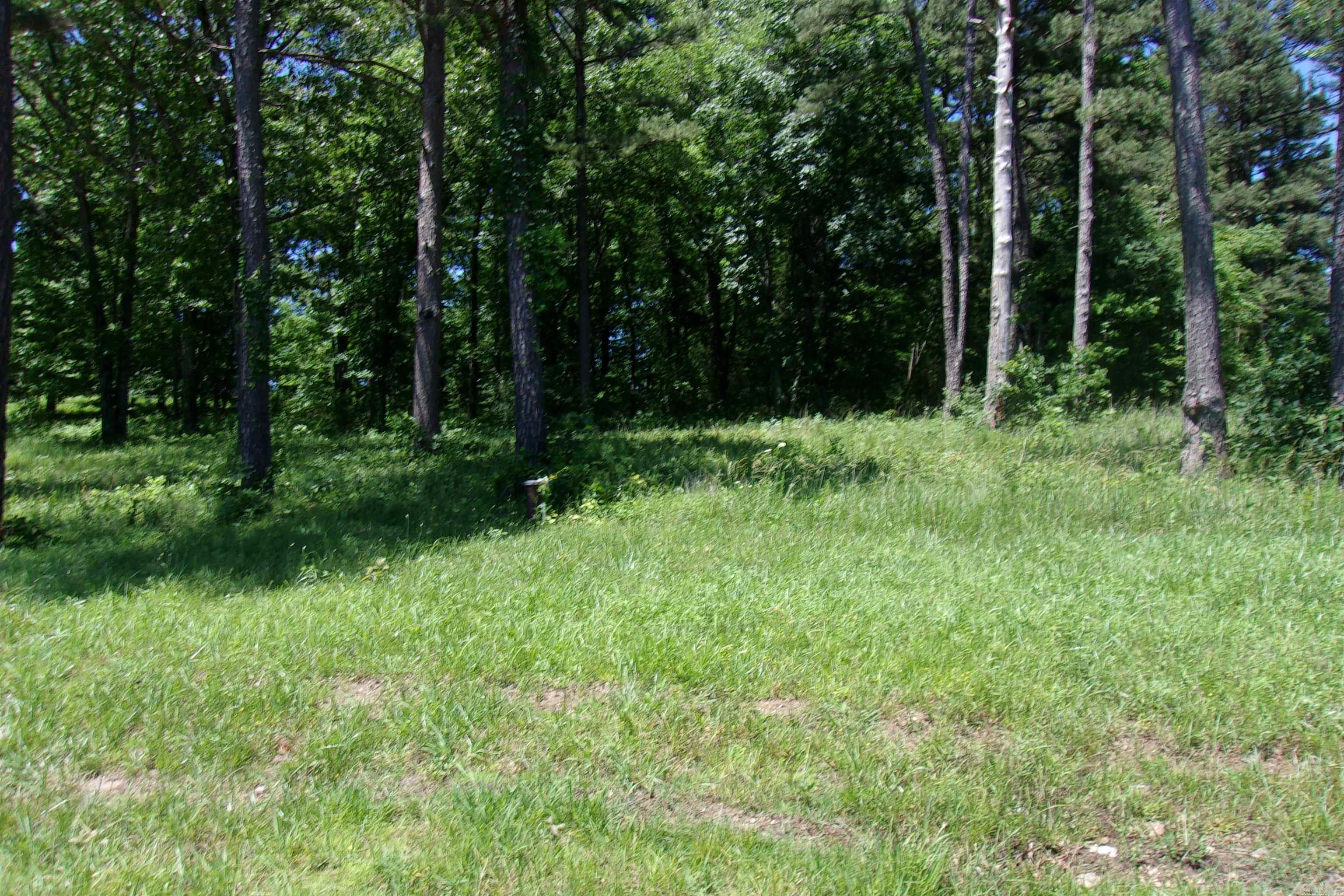Lot 9 White Bluffs Court  Mountain Home, AR