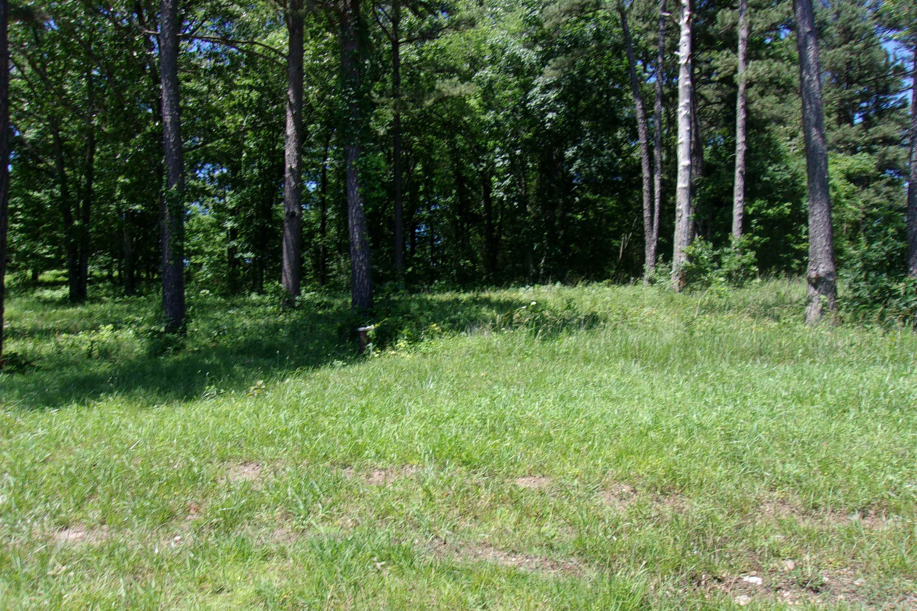 Lot 9  White Bluffs Court  Mountain Home, AR