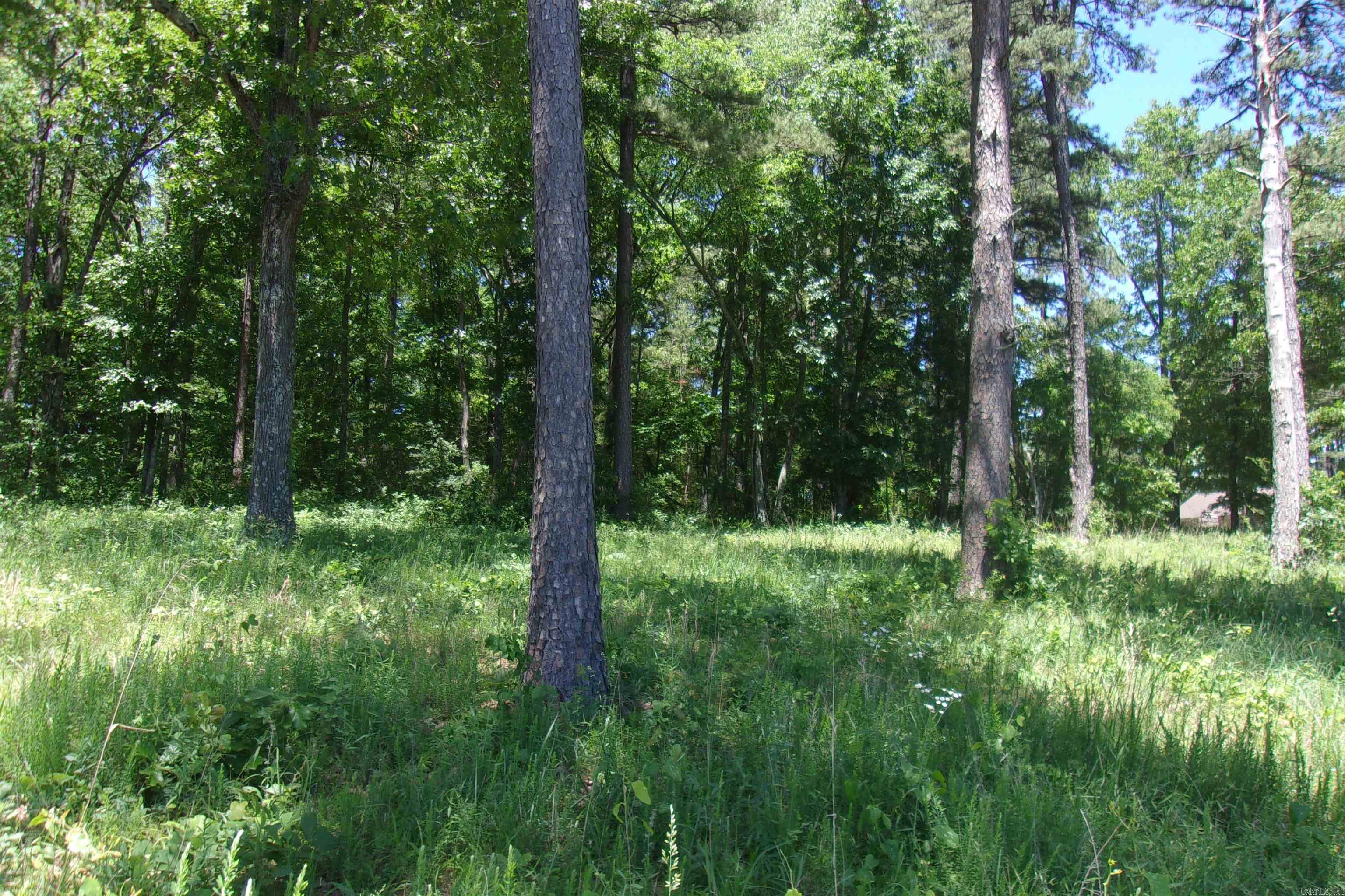 Lot 9 White Bluffs Court  Mountain Home, AR