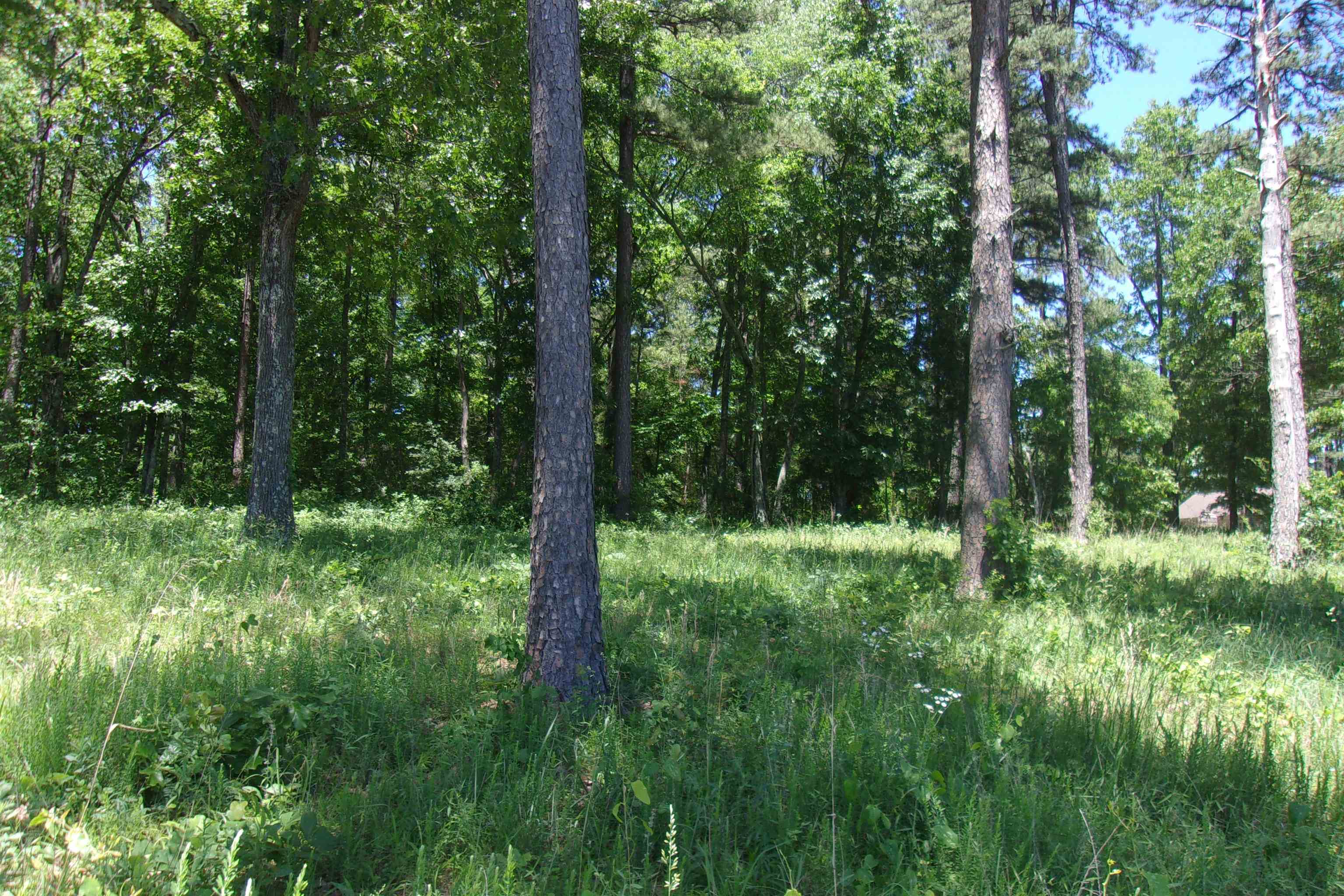 Lot 9  White Bluffs Court  Mountain Home, AR