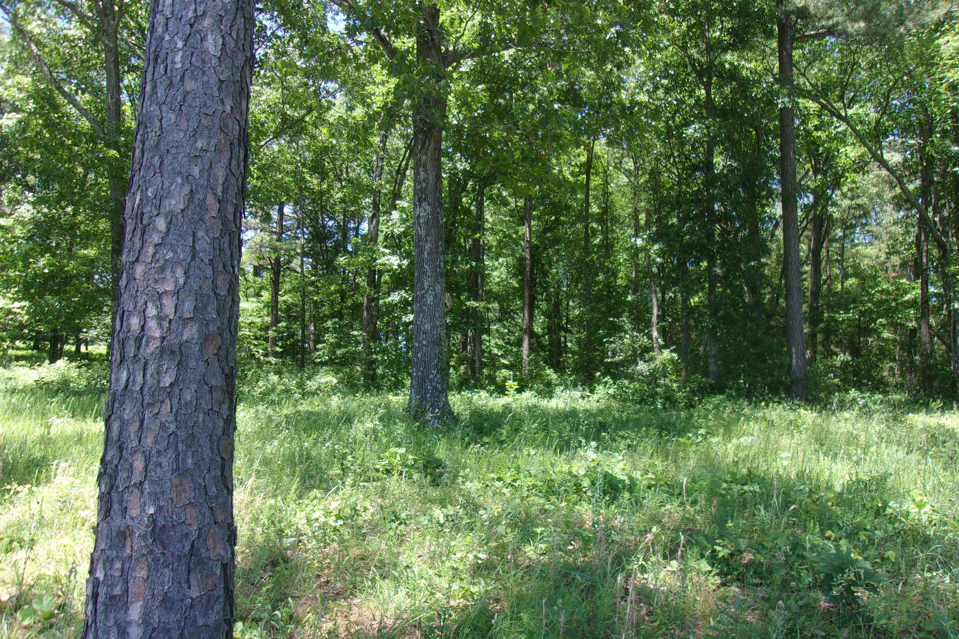 Lot 9  White Bluffs Court  Mountain Home, AR