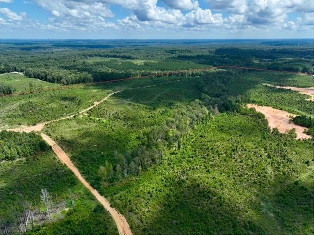TBD  Hobby Trail  Mabelvale, AR