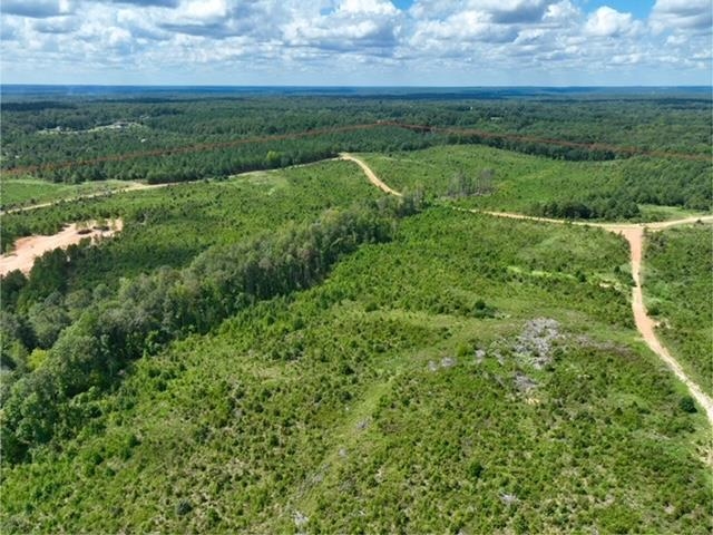 TBD  Hobby Trail  Mabelvale, AR
