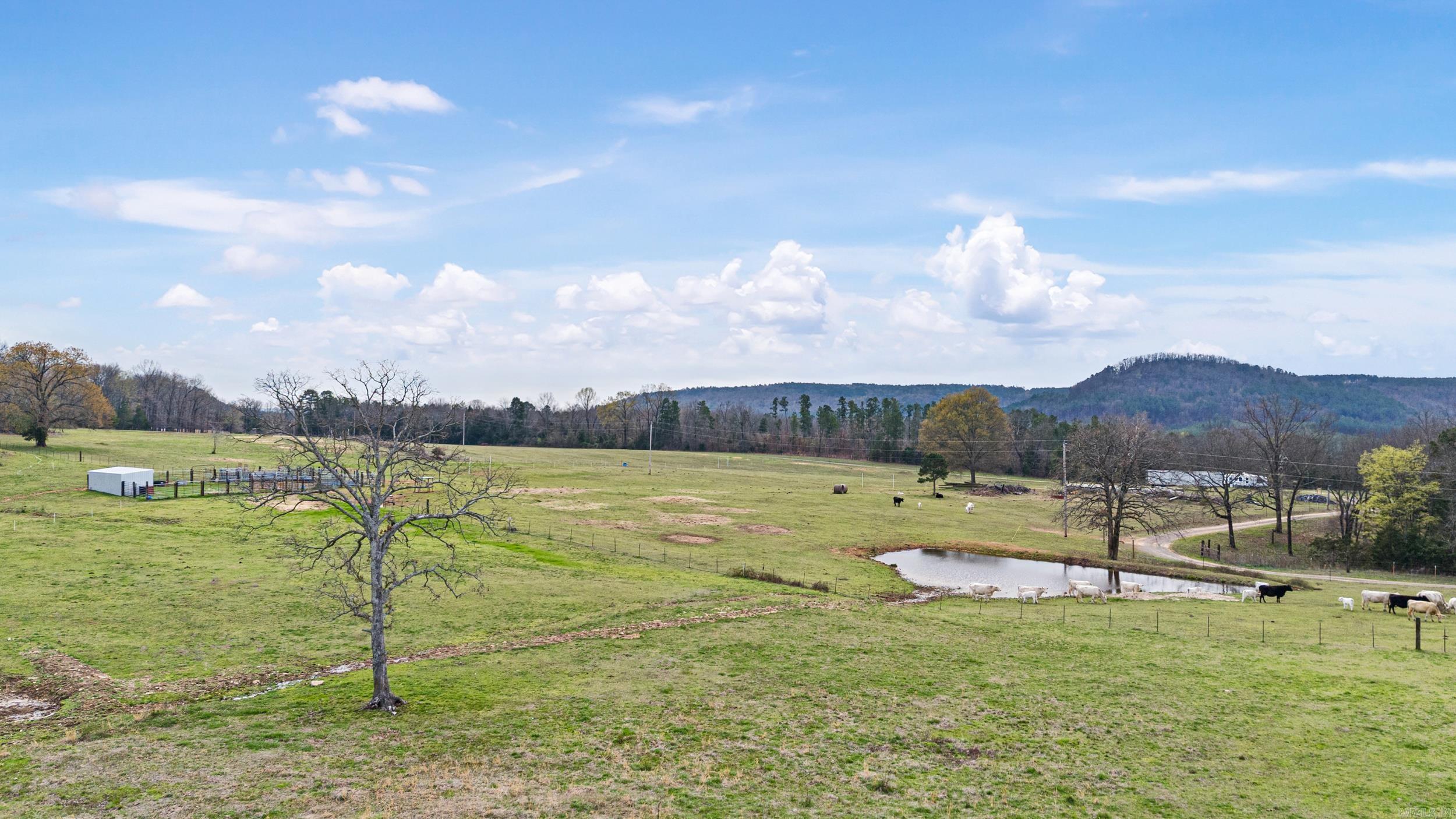 410  Ashworth Mountain  Dover, AR